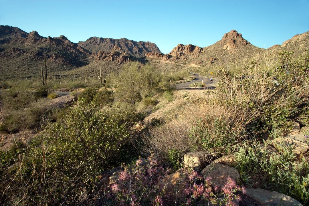 Gates Pass in Tucson Mountain Park in Arizona's Sonoran Desert Best Motorcycle Rides in Tucson, Arizona