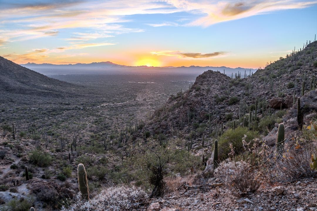 Gates Pass Sunset near Tucson Arizona. Saguaro National park below Motorcycle Route To Gates Pass from Tucson