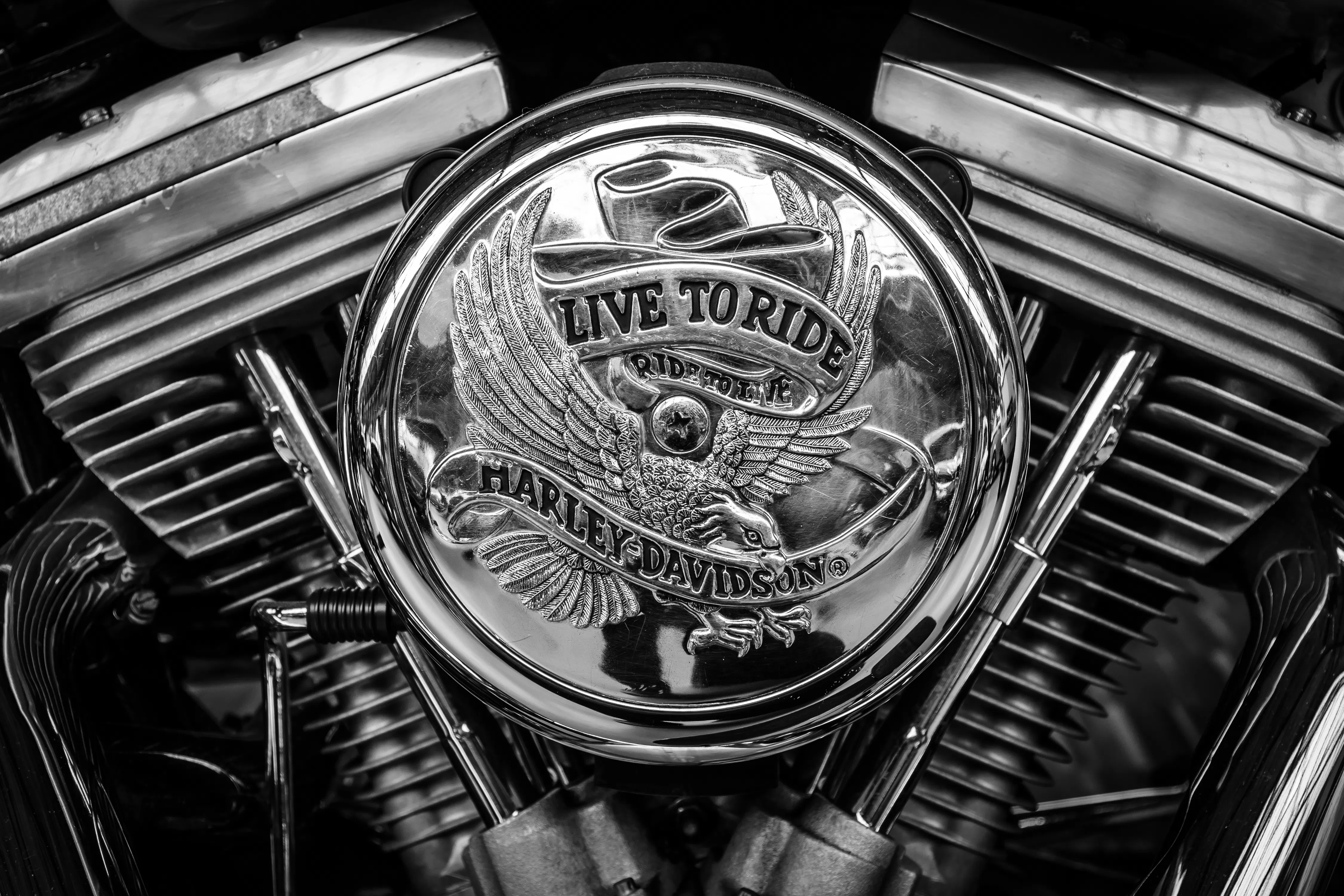guía de Harley Davidson, guía HD, logotipo de Harley Davidson