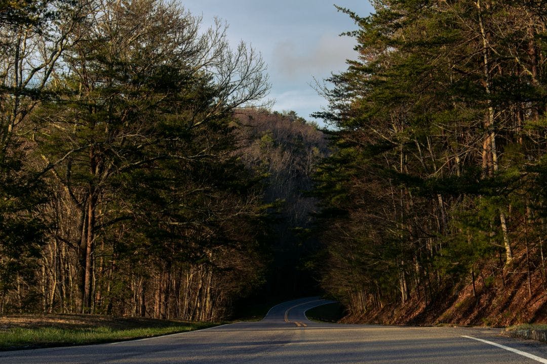 Road on foothills parkway during golden hour Smoky Mountain Bike Week 2025 - Info & Schedule