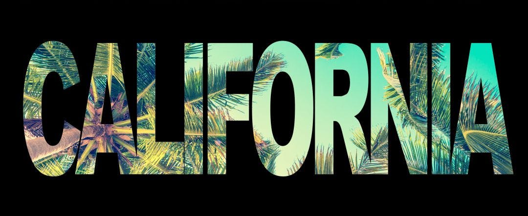 word california with palm trees on black background 50 Experiences for the Your California Bucket List