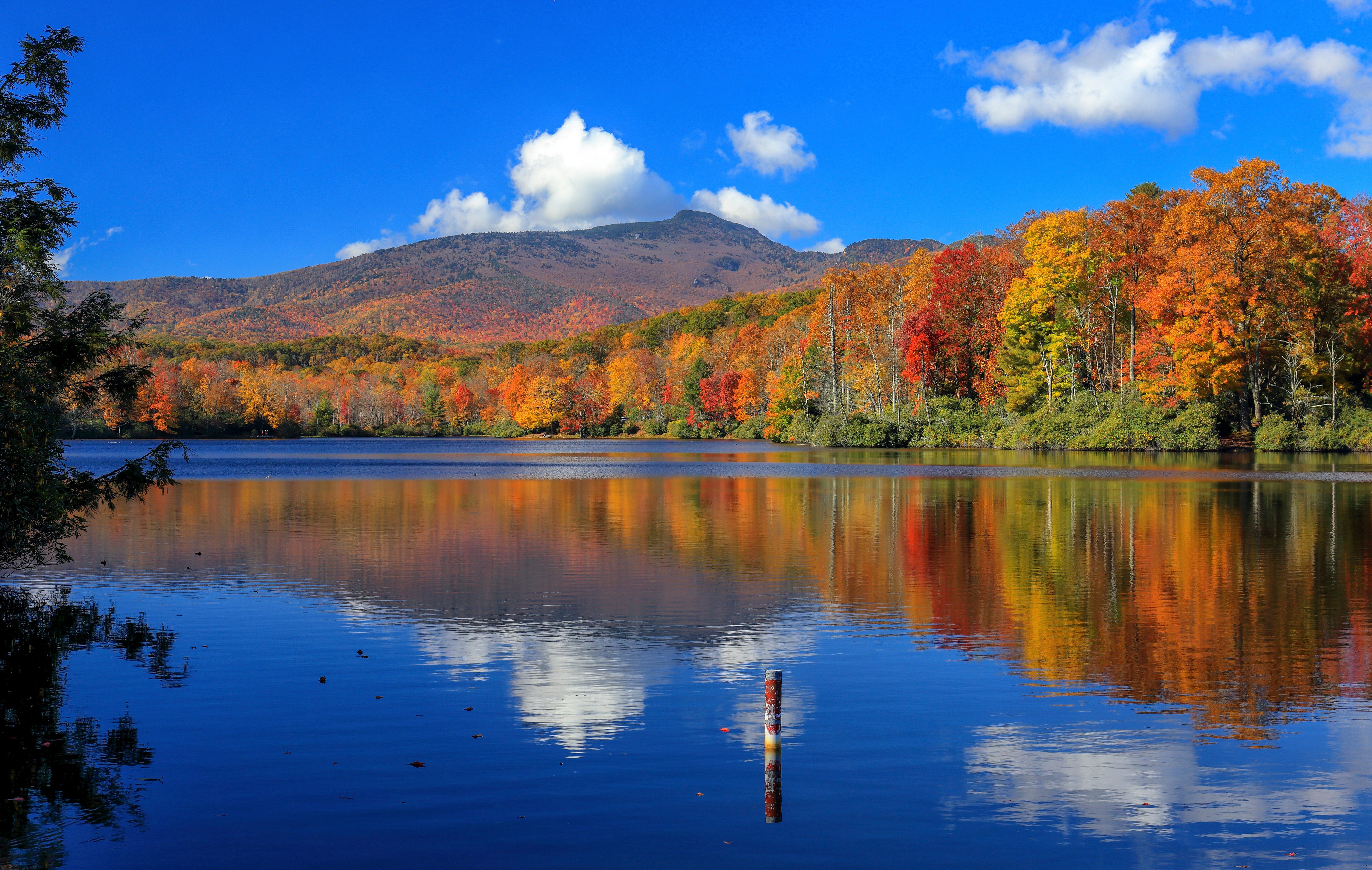 image of north carolina - browse motorcycle rentals in North Carolina with Riders Share