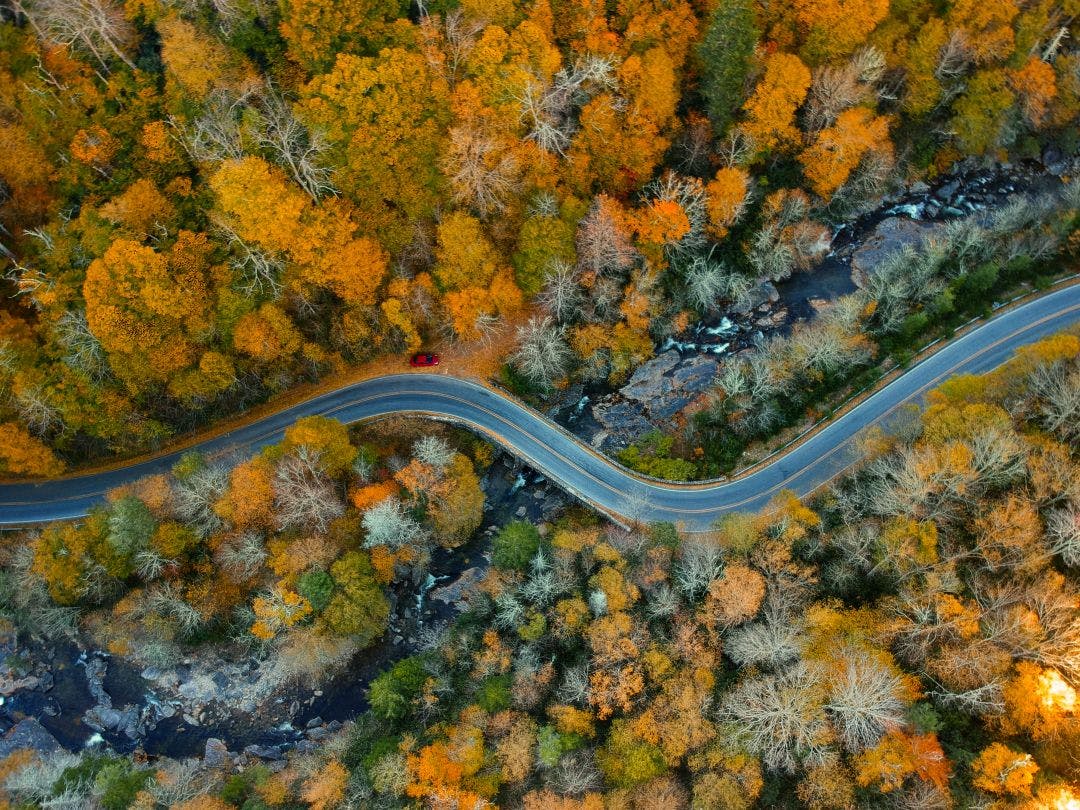 aerial drone of autumn fall in the blue ridge of the appalachian mountains near ashville north carolina Best Motorcycle Rides in North Carolina