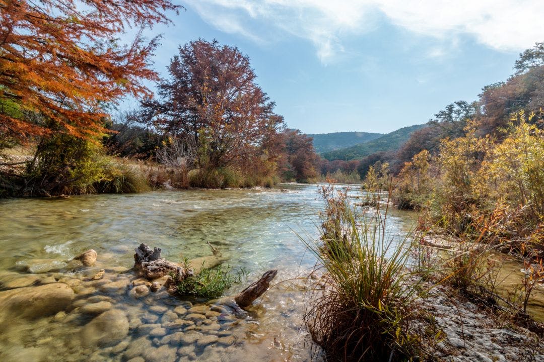 frio river texas The Twisted Sisters Texas | Ranch Road 335, 336, 337 Guide