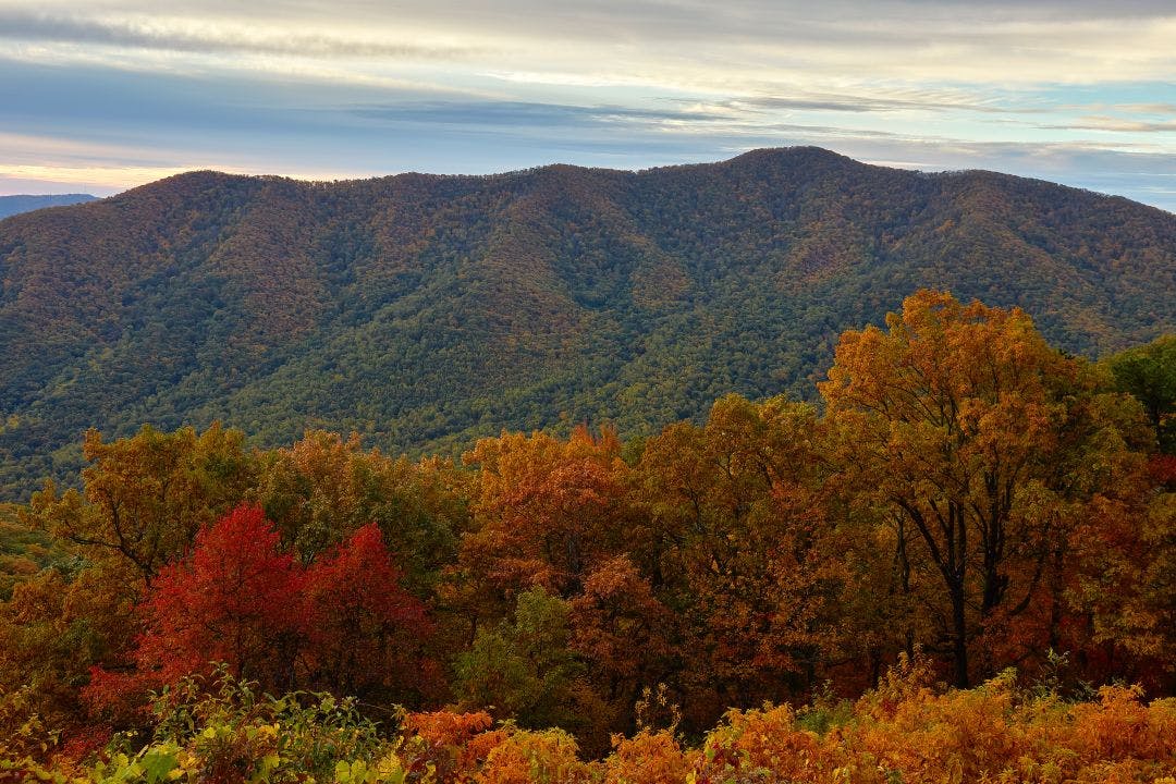 autumn colors along blue ridge parkway north of bedford virginia terrapin mountain in backgroun Blue Ridge Parkway Motorcycle Guide | 469-Mile Route