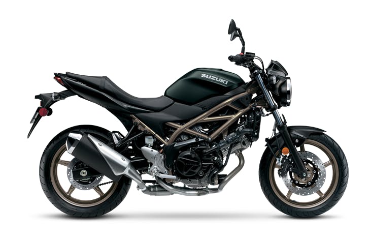 2025 Suzuki SV650 ABS stock photo Beginner Motorcycle Rentals | Best Bikes for New Riders