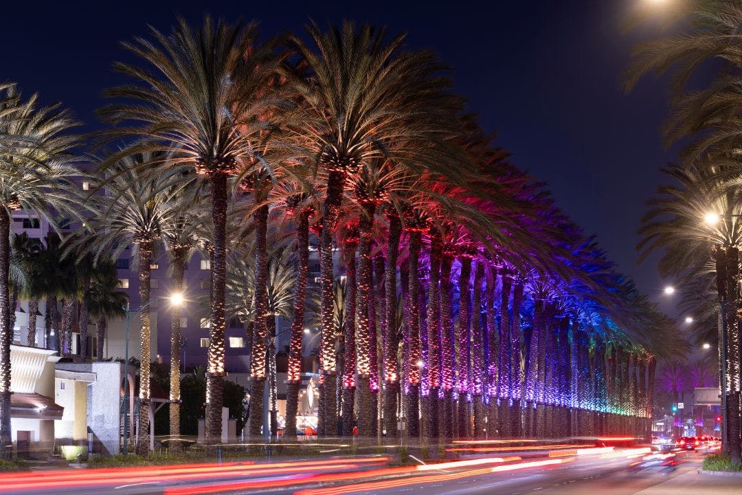 evening view of illuminated palm in the heart of downtown anaheim california AIMExpo 2026: Dates, Location & Guide Anaheim, CA