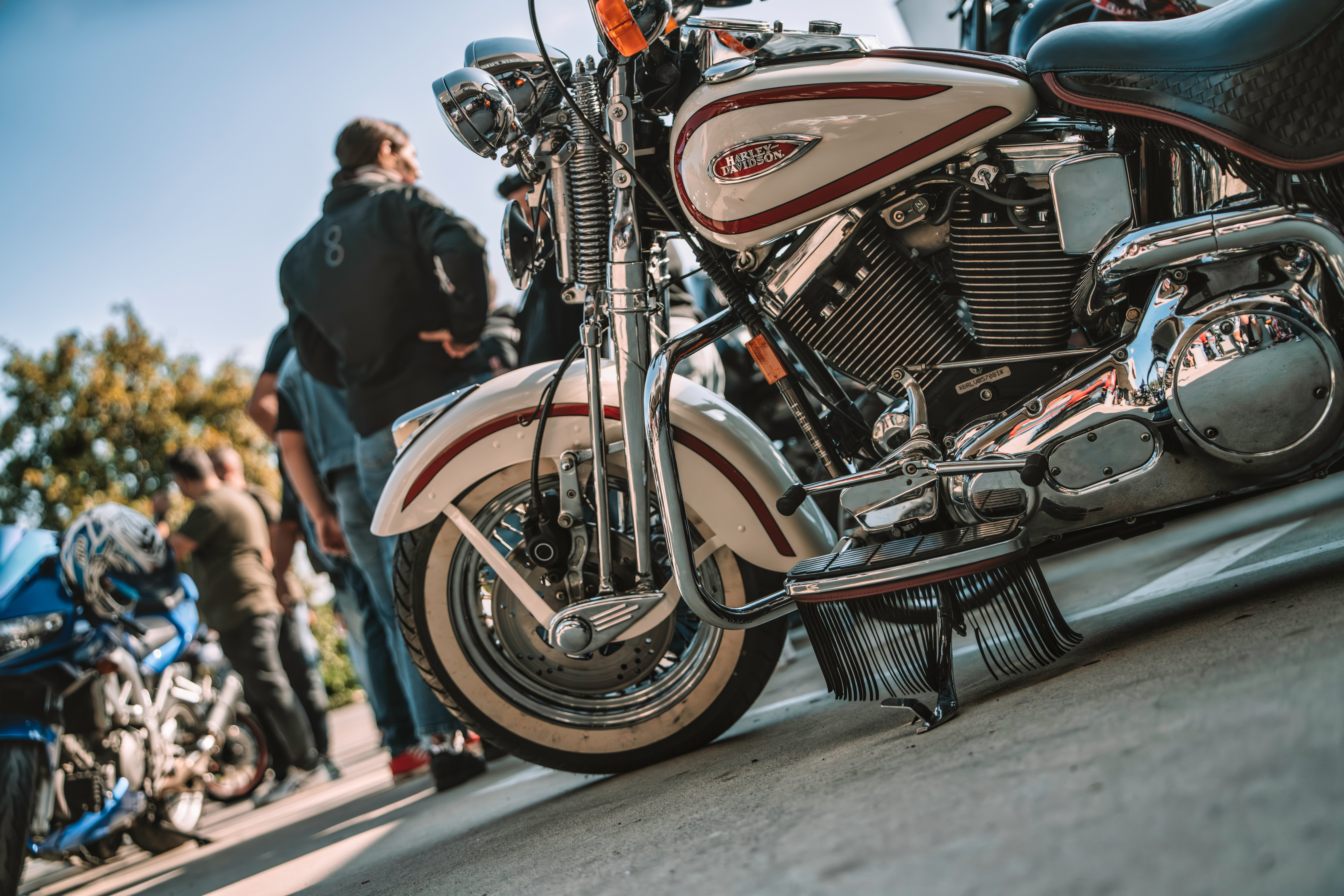 Motorama Races and Show 2026 - America's Largest Indoor Motorsports Event