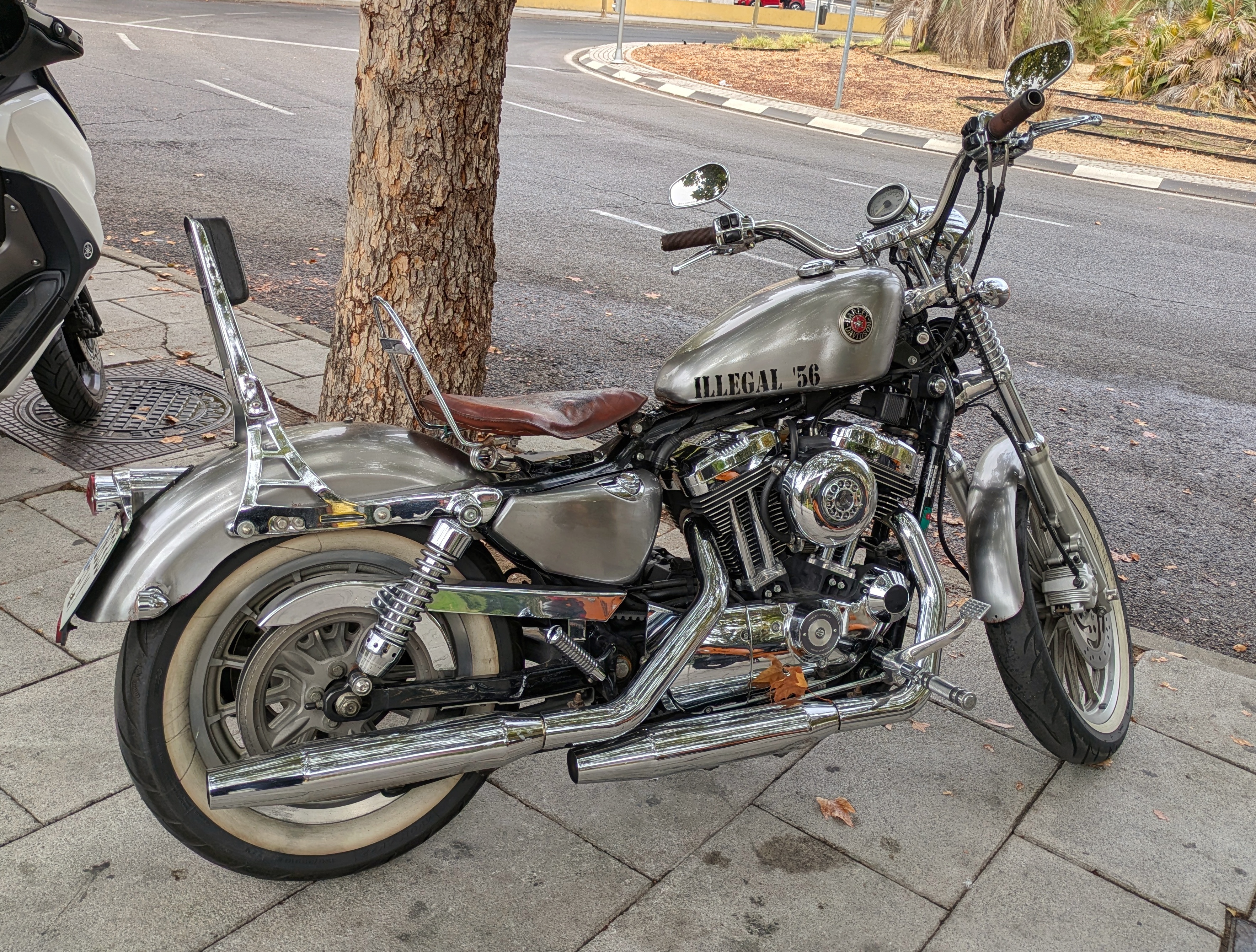 What Are the Different Types of Harley-Davidson Sportsters?