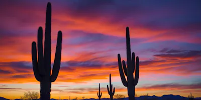 image of sunset in arizona desert - get arizona motorcycle insurance quotes on Riders Share