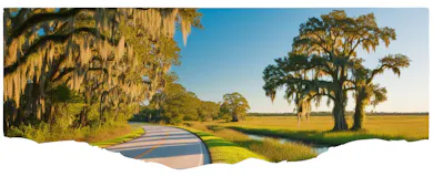 image of road in louisiana - compare louisiana motorcycle insurance quotes on Riders Share