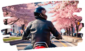 image of rider on a motorcycle (cherry blossoms backdrop) - compare washington dc motorcycle insurance quotes on Riders Share