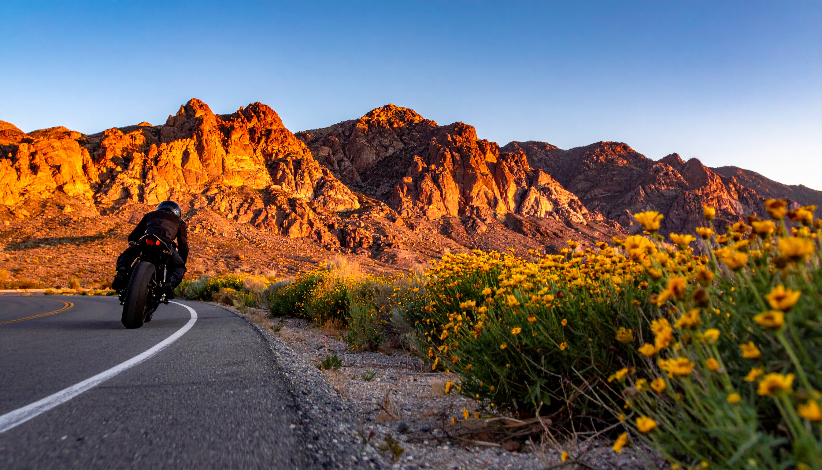 Palm Springs, CA