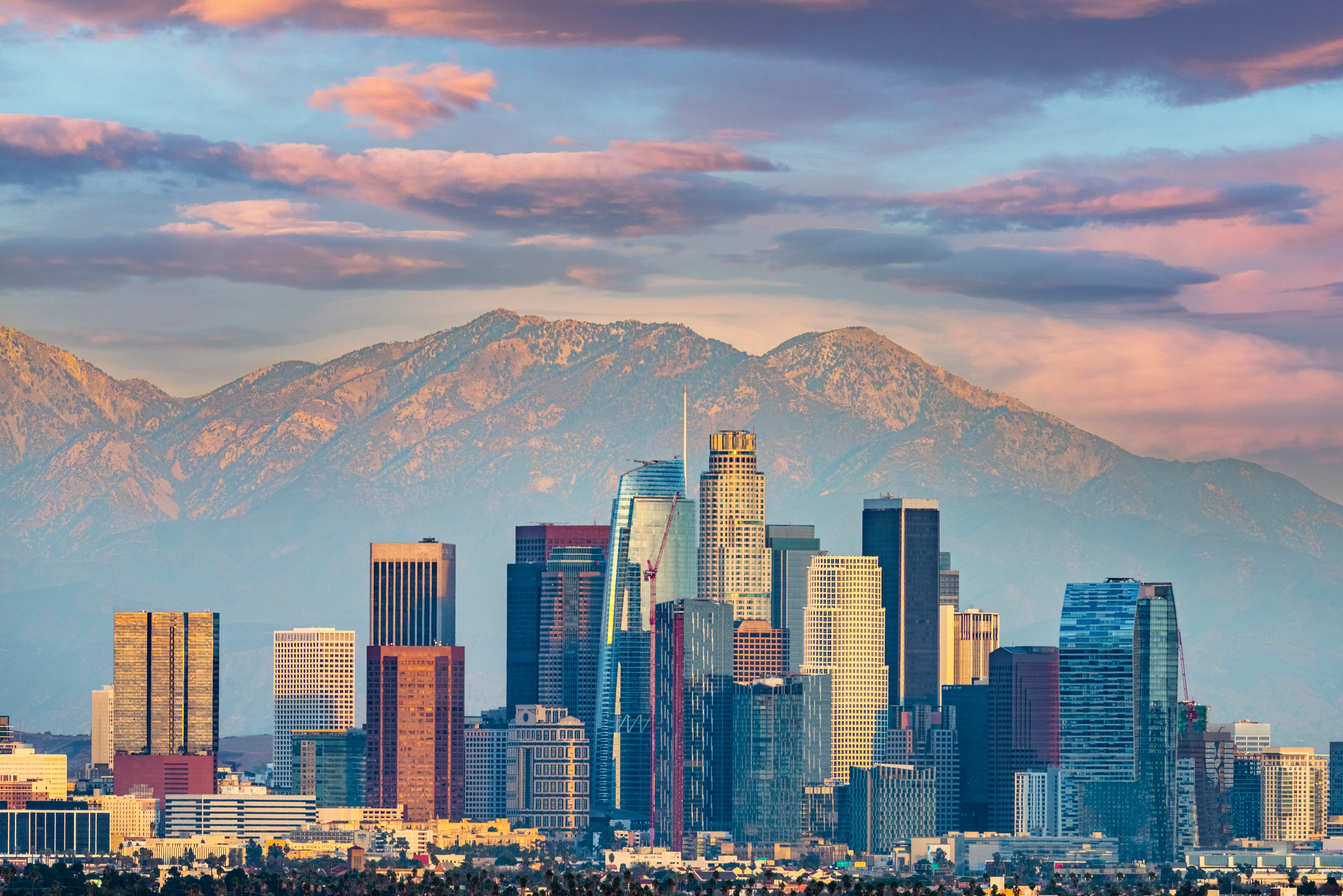 Sunny Los Angeles skyline with palm trees against a clear blue sky