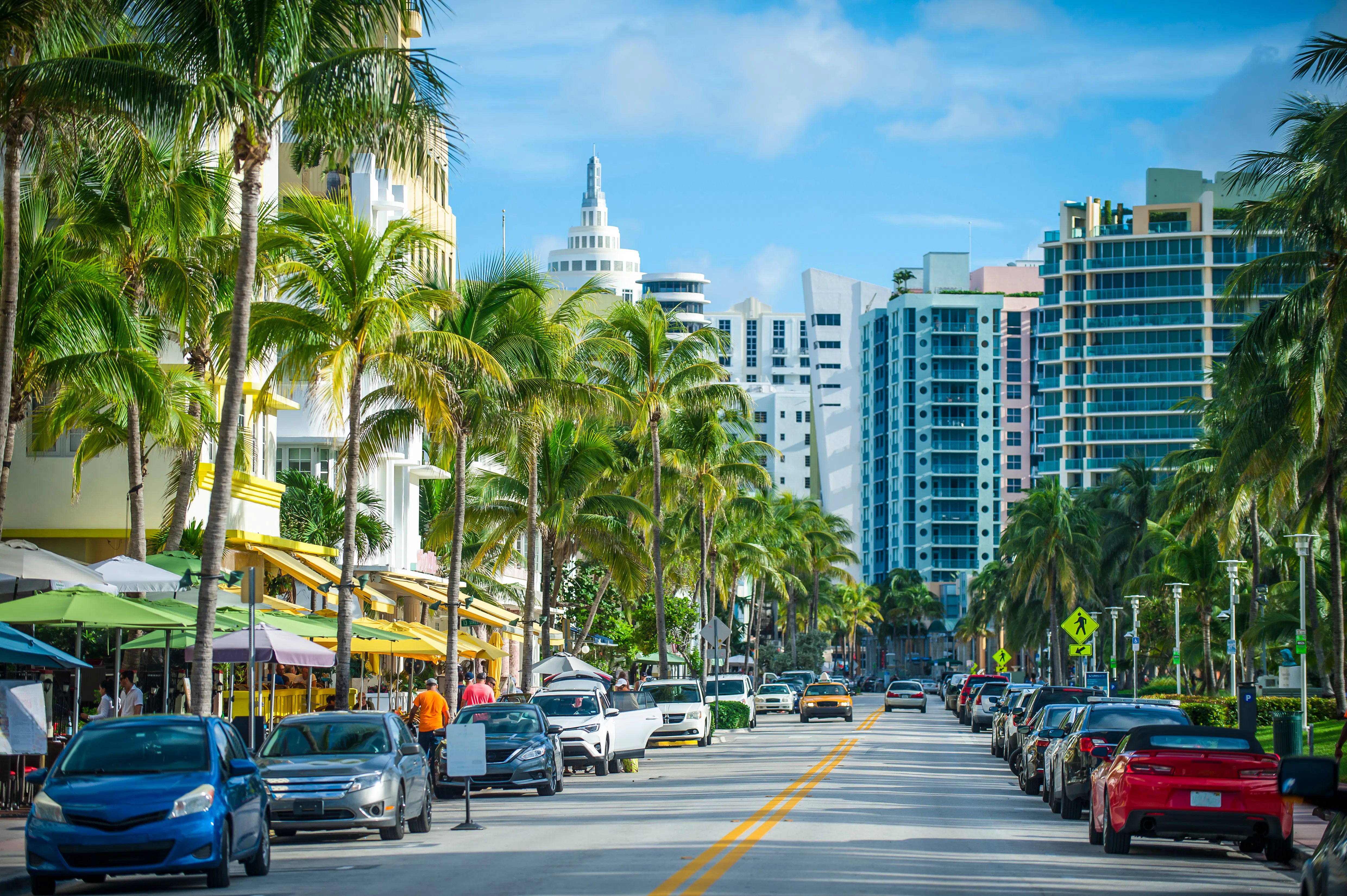 Miami highway and downtown skyline with palm trees