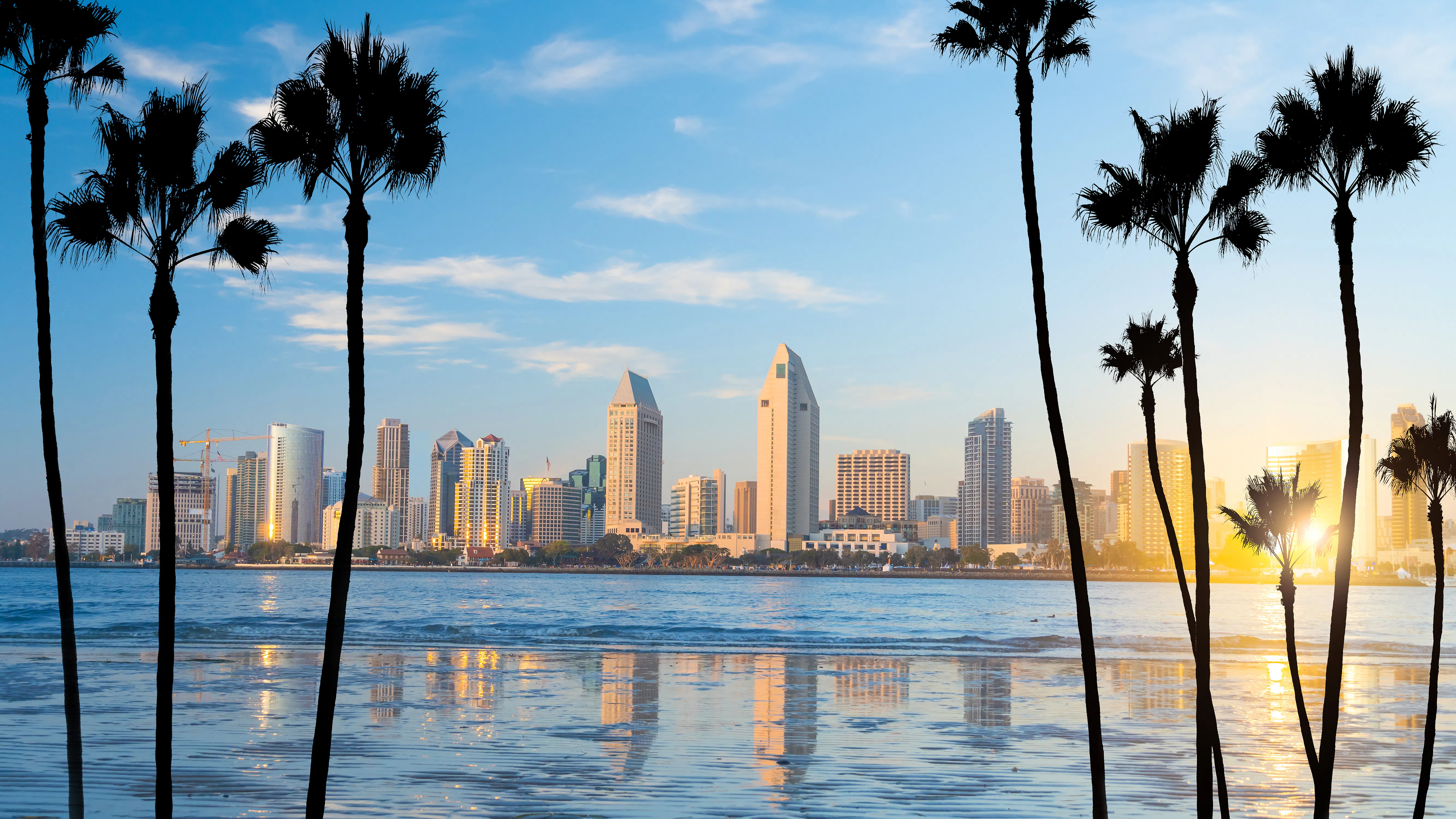 San Diego skyline framed by palm trees from across the bay