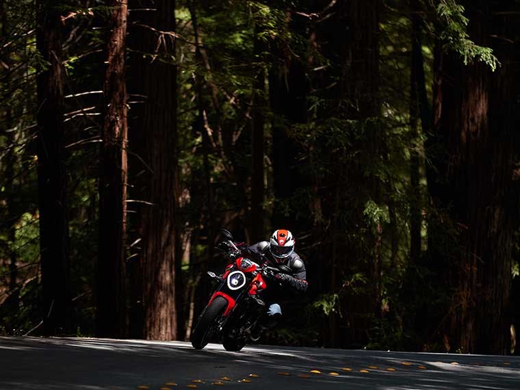 Exploring the Redwood forests on a Ducati motorcycle.