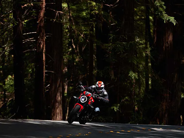 Explorando los bosques de secuoyas gigantes en una motocicleta Ducati.