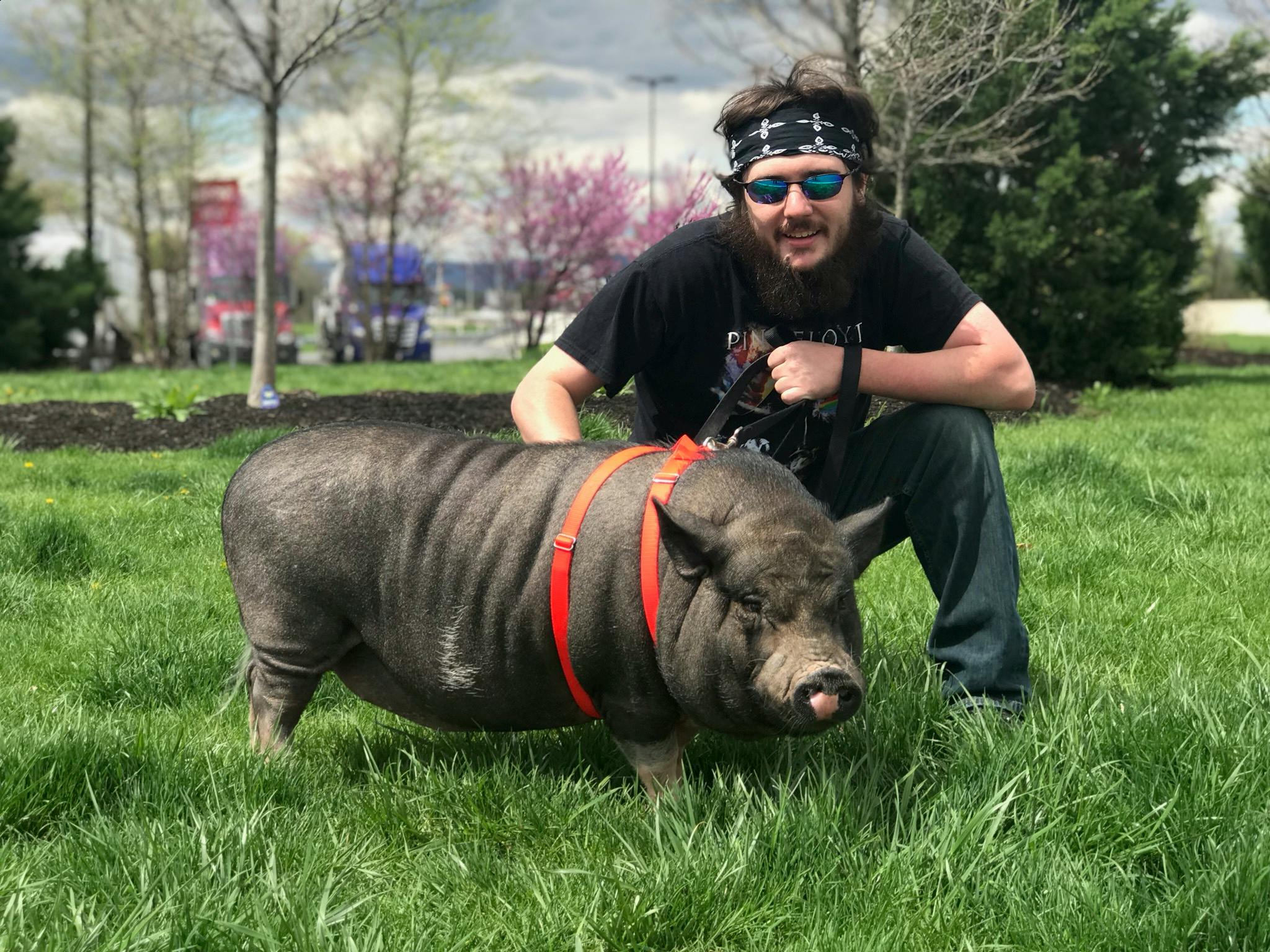 Brendon and his badass pet pig Marco