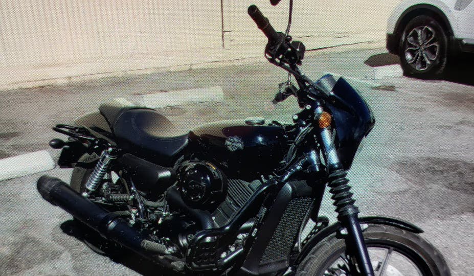picture of a black harley street 500 parked in a parking lot