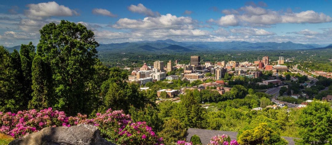 view of the city of Ashville NC from a top a mountain, colorful flowers and the city in view