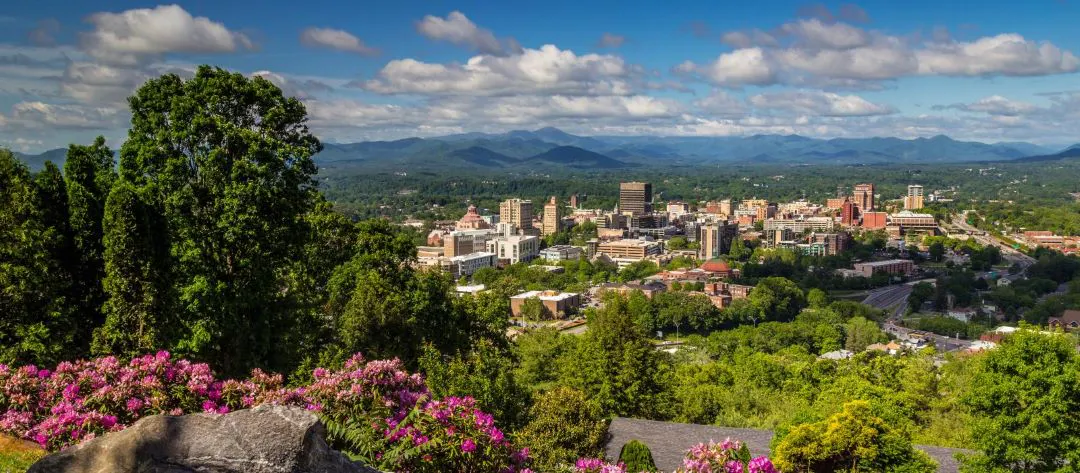 vista da cidade de Ashville NC de um topo de montanha, flores coloridas e a cidade em vista