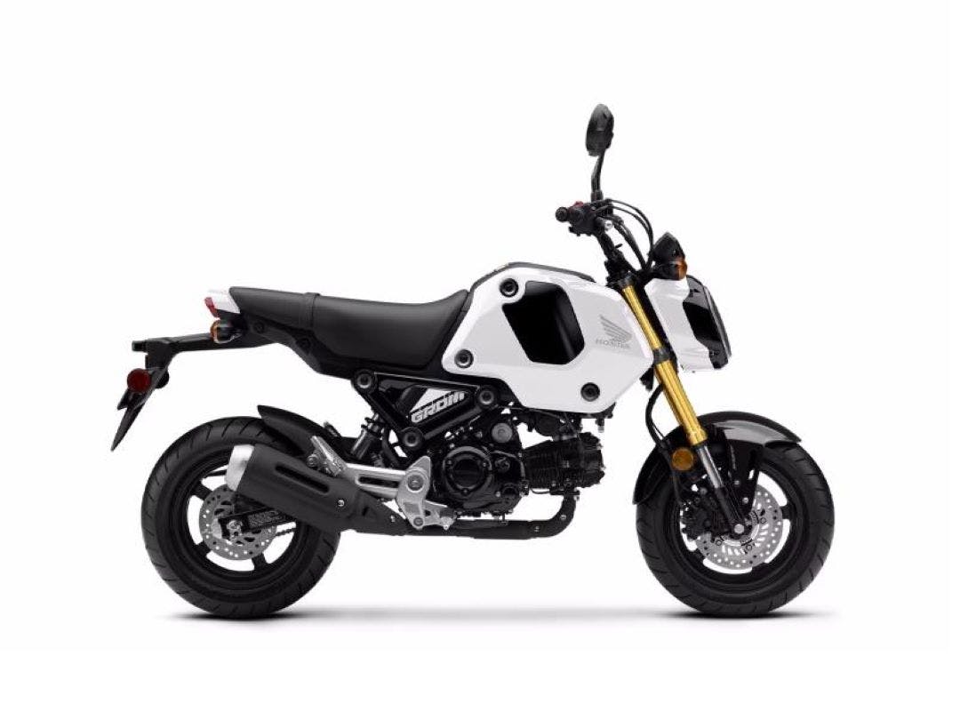 Stock picture of a white 2024 Honda Grom best motorcycles for beginners
