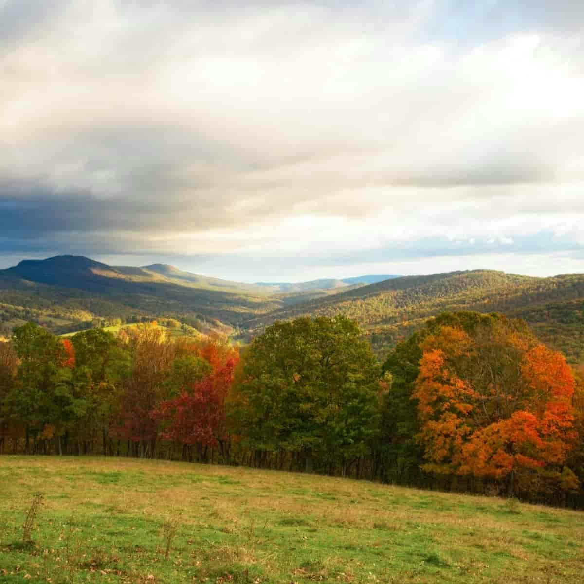 Motorcycle Day Rides Near Me : ~~Read about ohv trails near me. Follow the link for more ... : Fair warning, the route can be challenging and is best suited to more experienced riders.…