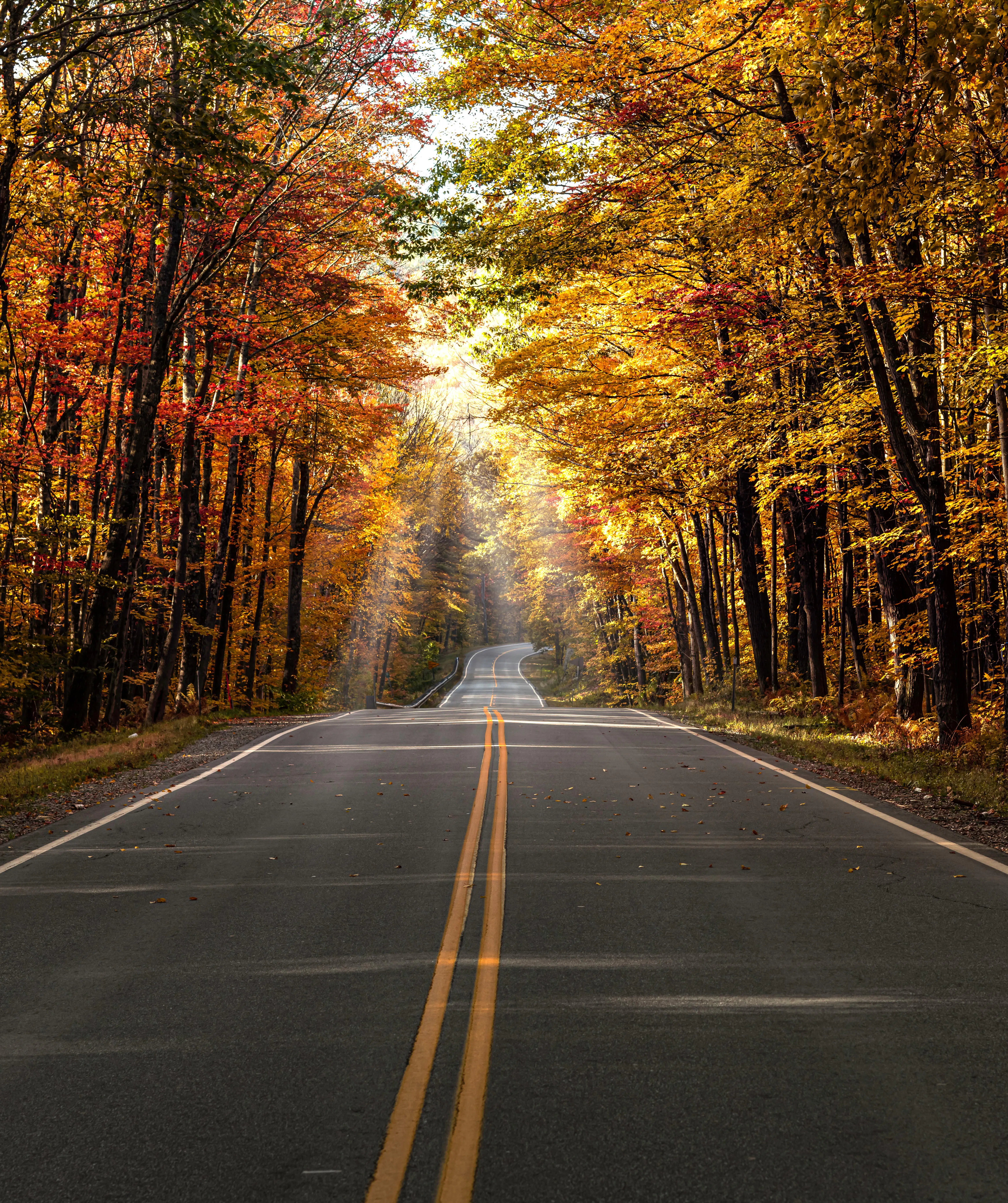 Recorriendo los caminos secundarios de New Hampshire en un día soleado de otoño con colores otoñales