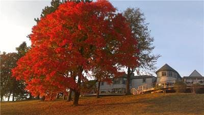 Fall at Ridgeview