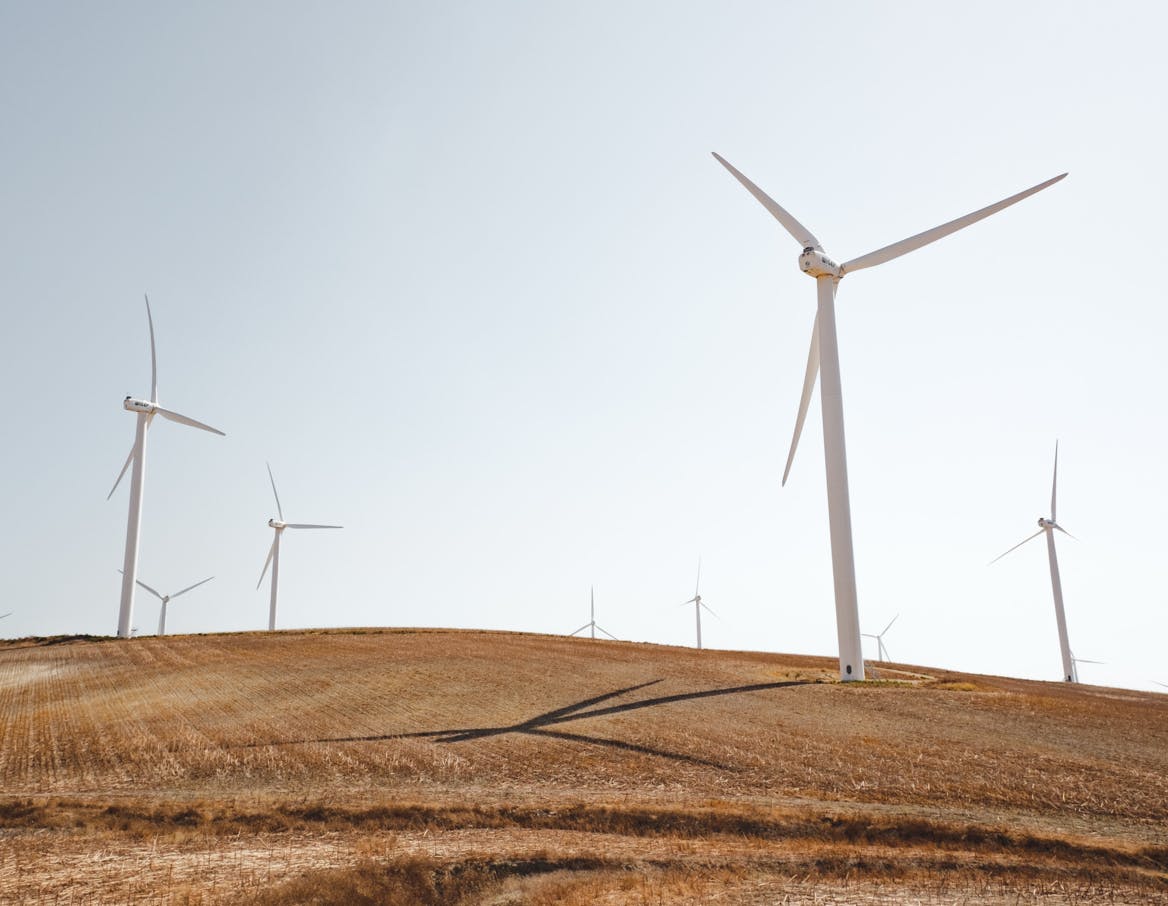 West Texas windmill field.
