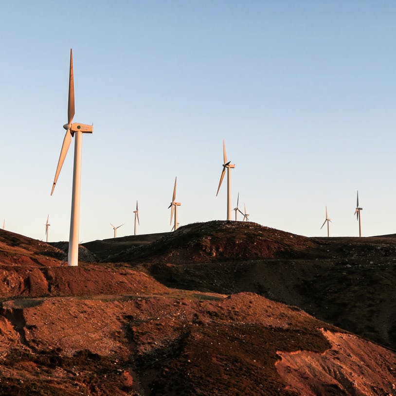 A wind farm at sunset.
