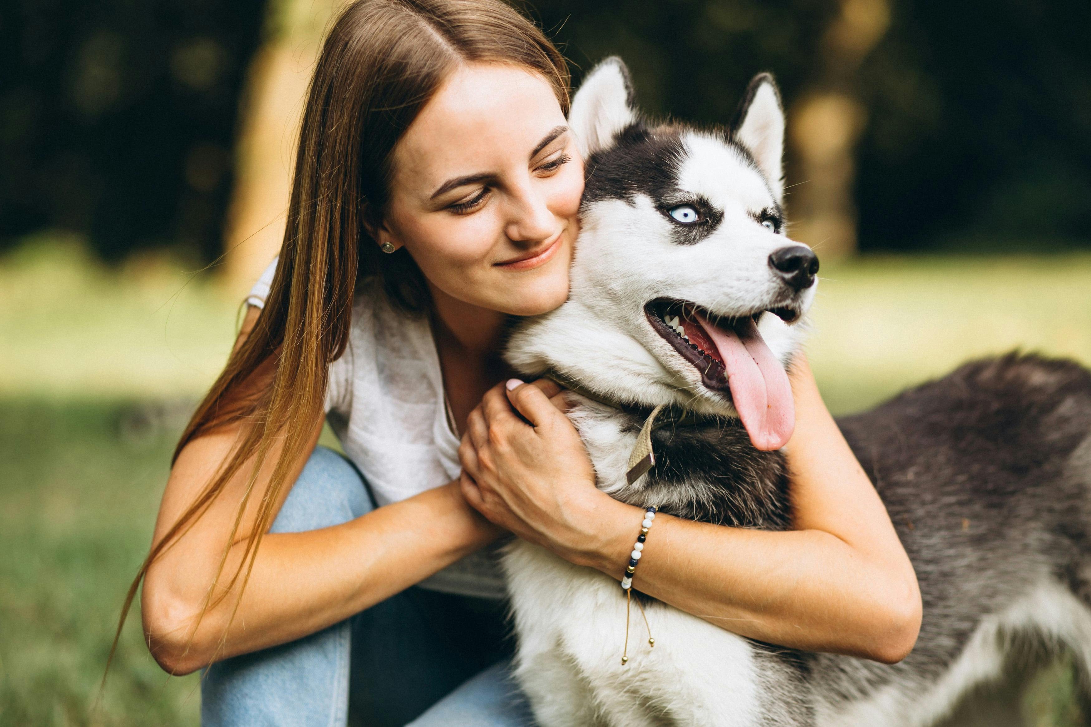 DogDaycare_Cuddles: A staff member providing affection and cuddles to dogs during their daycare stay