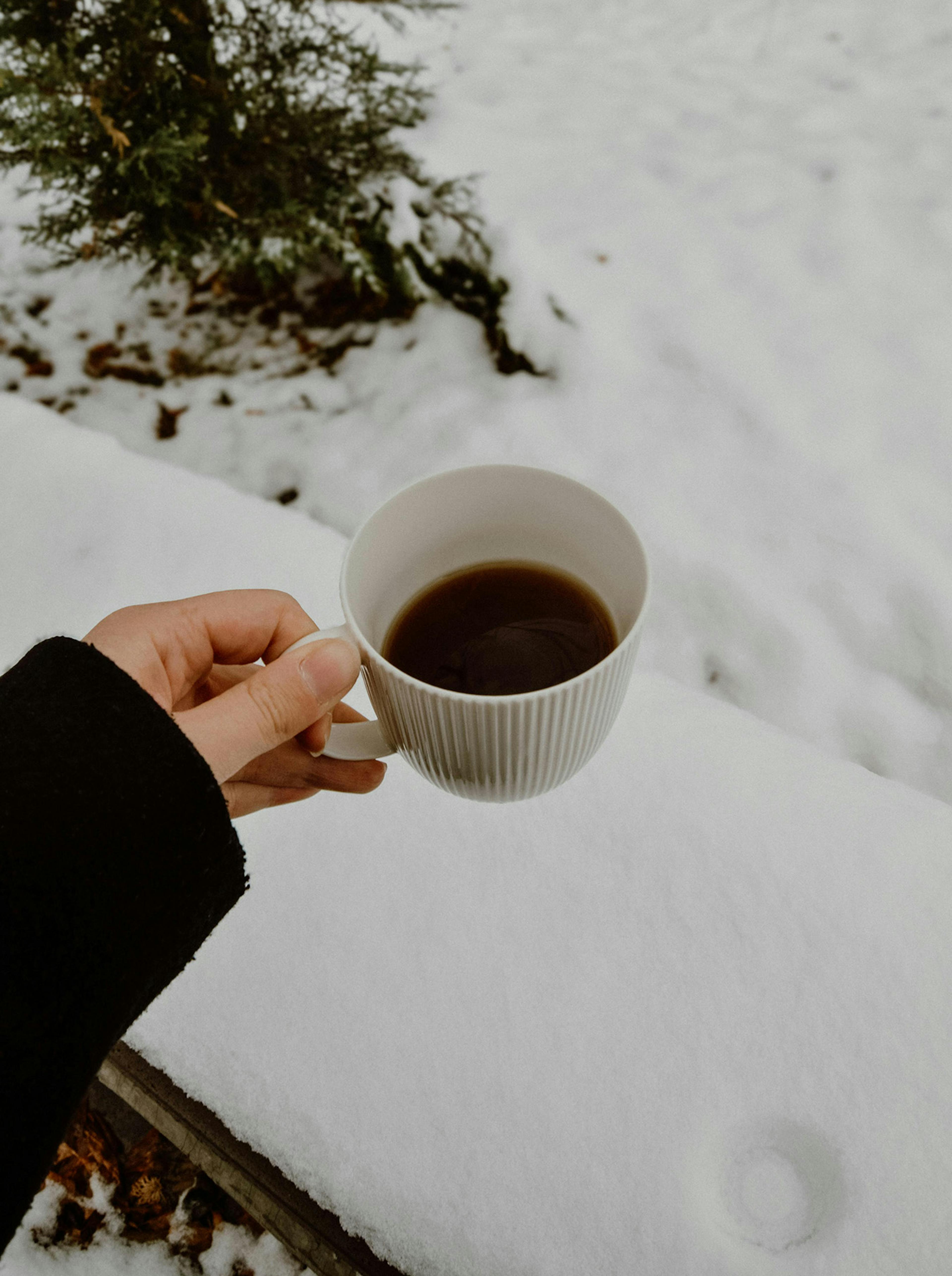 Tazza con neve