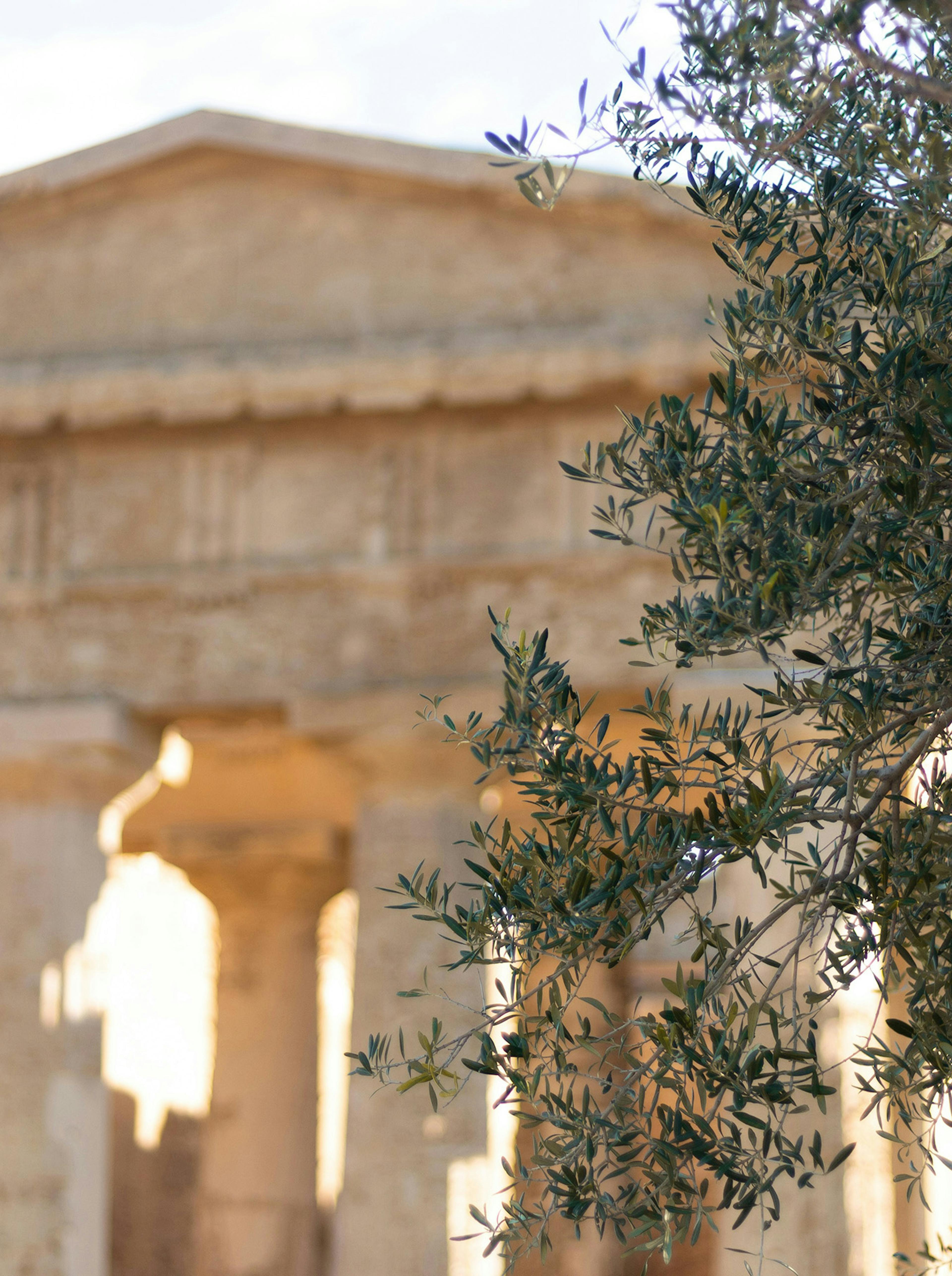 Valle dei Templi Agrigento

