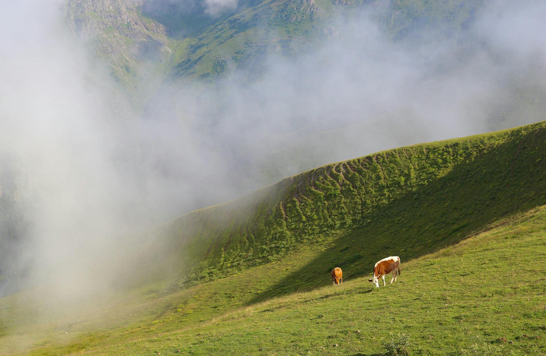 Montagna