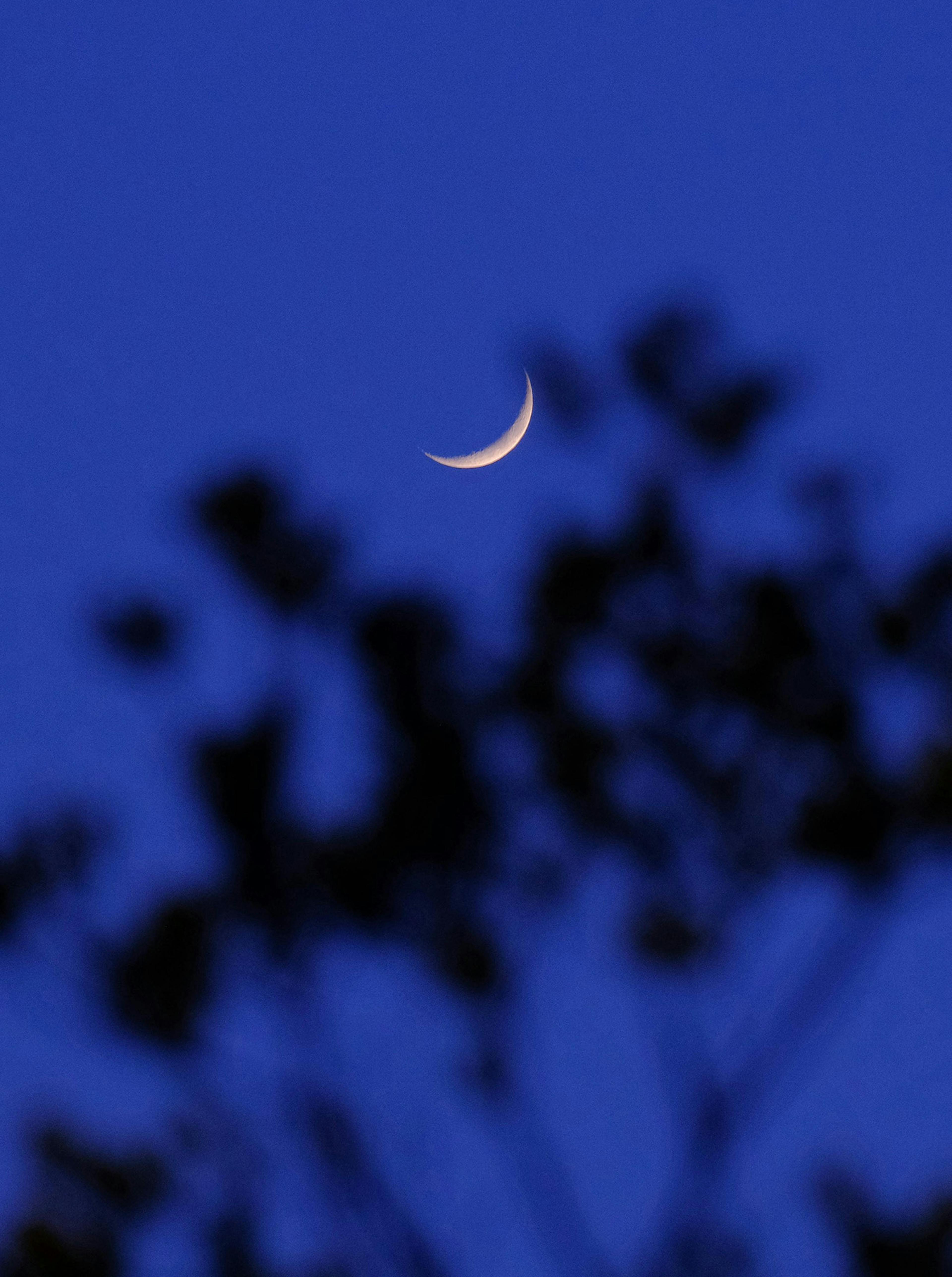 cielo con luna 