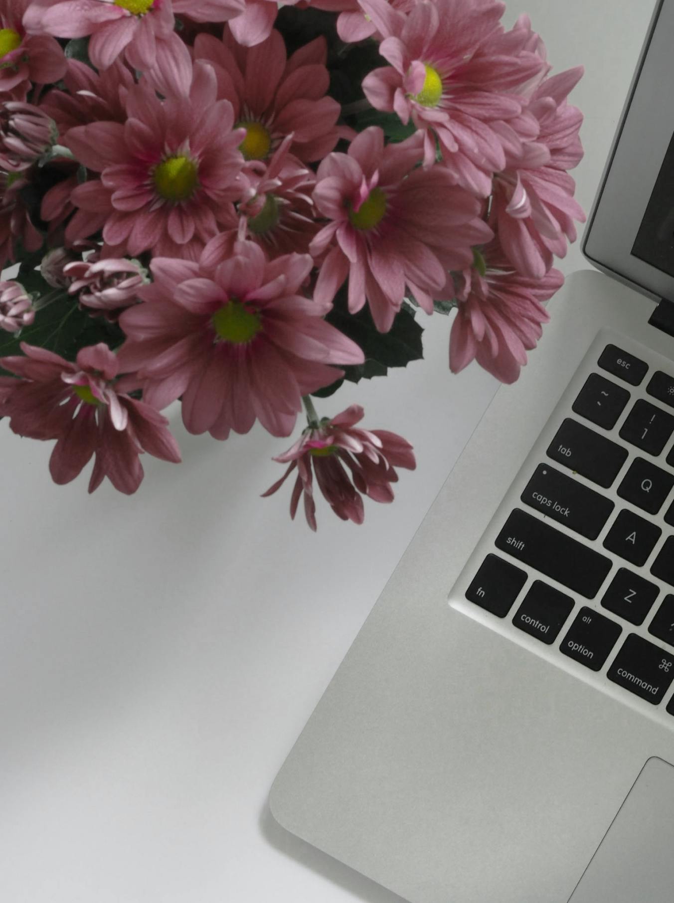 Laptop e fiori rosa