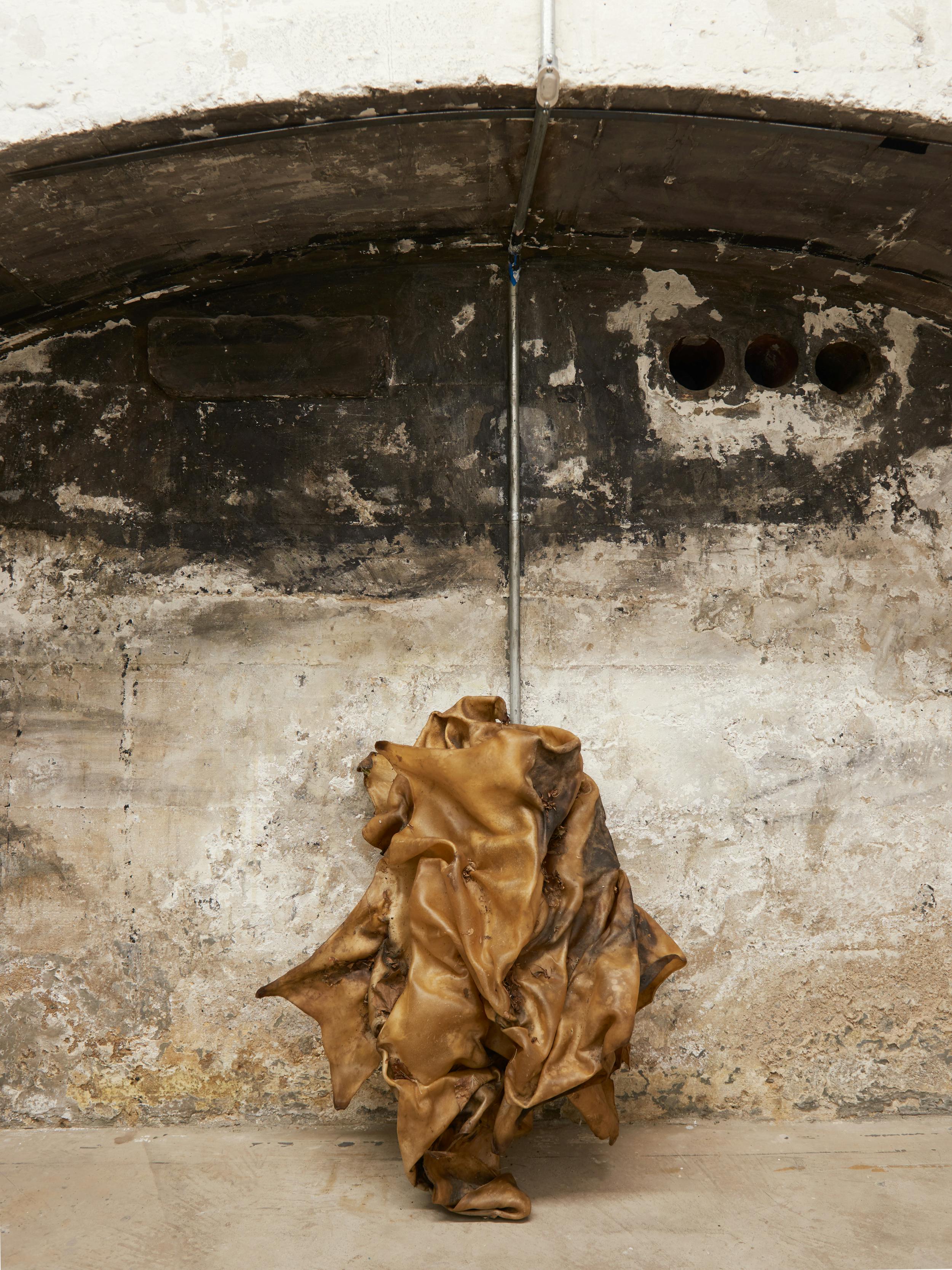 A louse and a flea were brewing beer in an eggshell. The louse fell in and burnt herself. This made the flea weep, which made the door creak, which made the broom sweep, which made the cart run, which made the ash-heap burn, which made the tree shake itself, which made the girl break her water-pitcher, which made the spring begin to flow. And in the spring's water everything was drowned. ongoing - rawhide, dirt, leaves, water