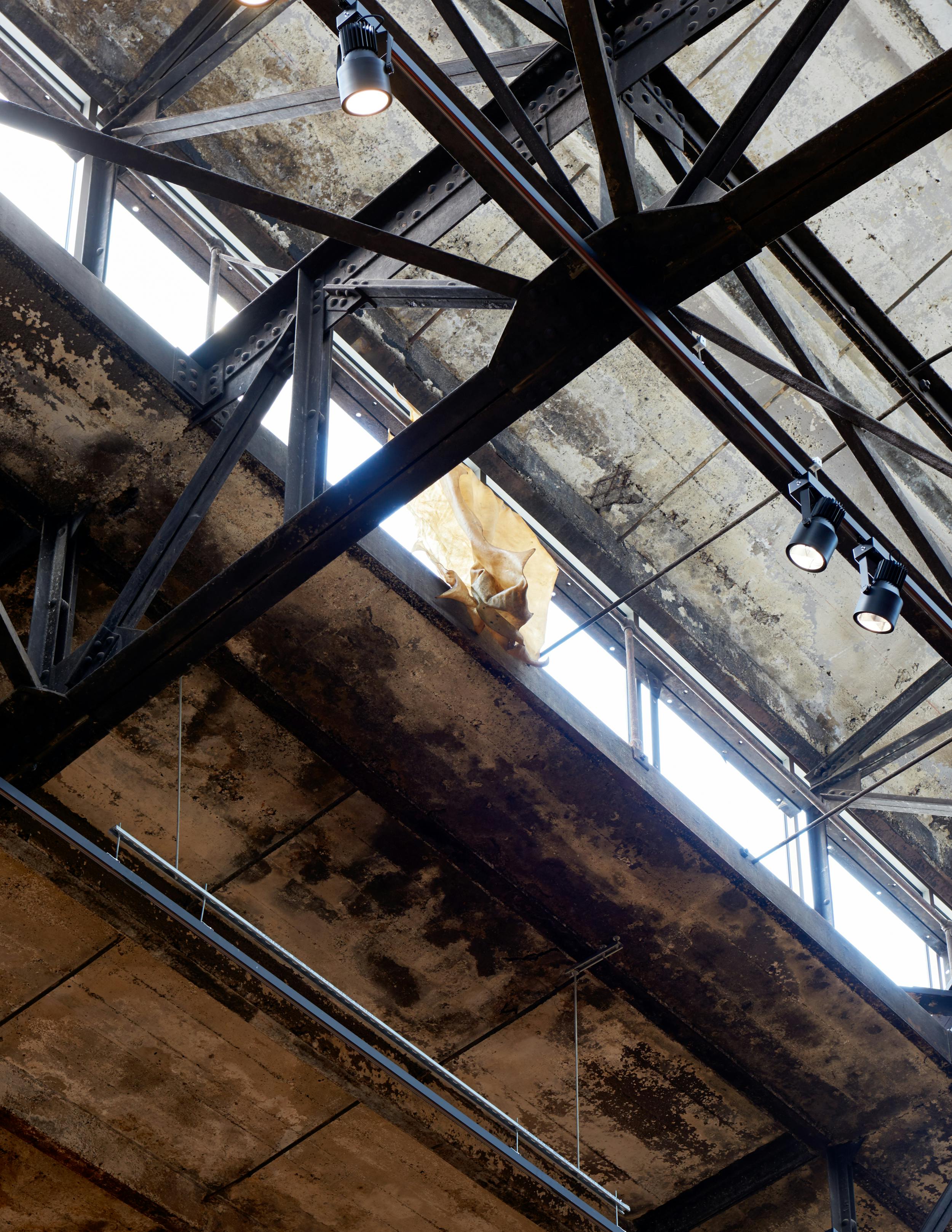 The stage is no place for the riot ongoing - rawhide, dirt, water