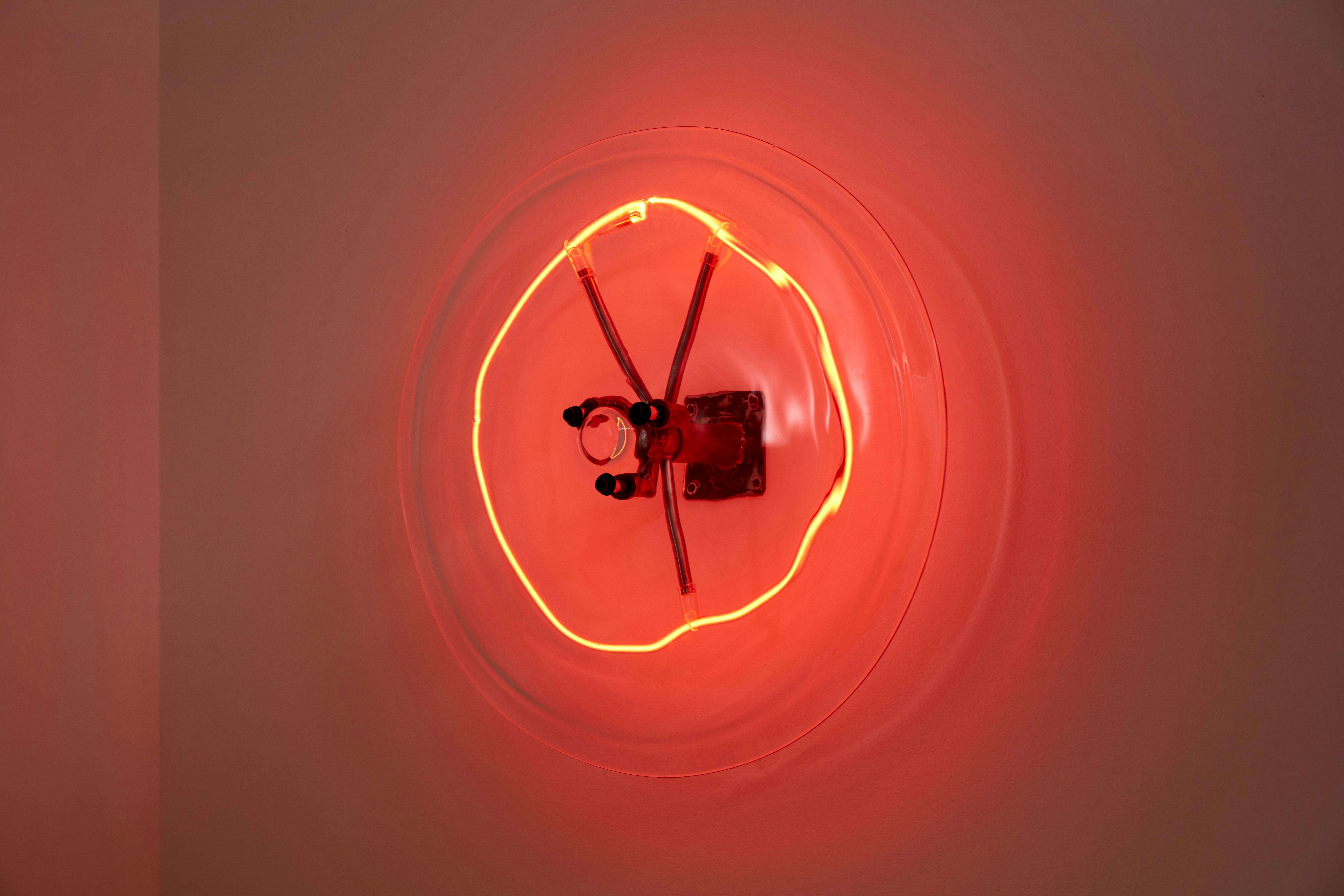 Colaboration w/  Jordan Loeppky-Kolesnik Distinguishing  among them, an aurora; looking at it through binoculars at days end – a  different planet. Areola, behind and in front and then behind again,  unintelligible to the nearby human. Areola, a hole, a constant. There’s  enough information in [the sound] that, in theory, they could tell each  other apart. Like the other day, a blue jay flew into my house looking  for food... and then forgot how to get out. It caused a terrifying  ruckus flapping around and banging its head into the glass, trying to  escape. I grabbed a towel, threw it over the bird, then brought it back  outside again. Blown glass, neon, steel hardware