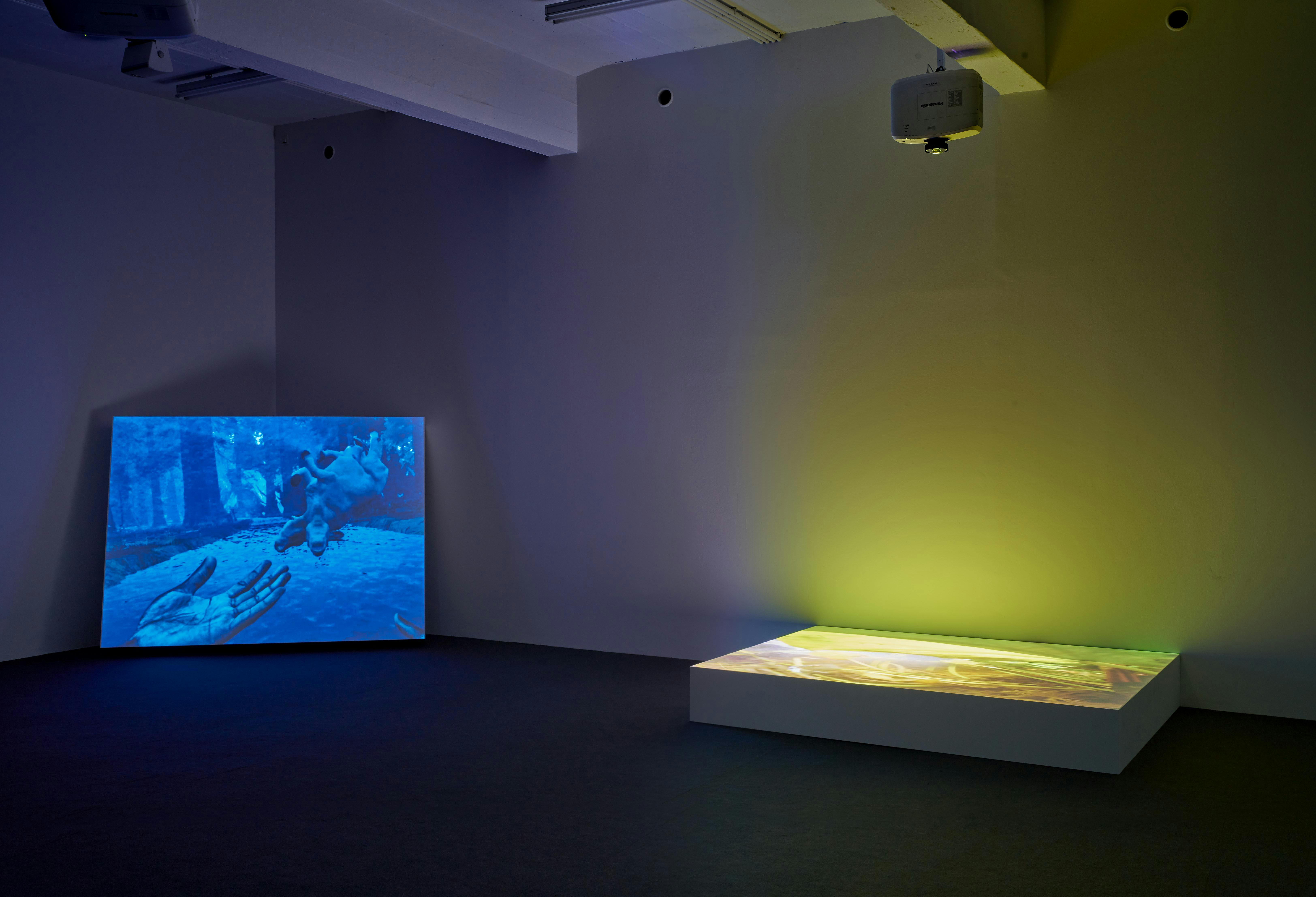 Left:  Diana Said: / If you stop me / from cutting / your hair, / there is a sense / in which / you are / interfering. / * / But, since you are entitled / to determine / whether I cut your hair / or not, you do not / wrong me. / * / I make your trip to the store a waste. / * / I buy the last quart of milk / before you / get there. 2019, Virtual-Reality-Installation, 7’15’’, 4096 x 2160 pixels, Animation by Pariah Interactive.   Right:  Pleasure is a self-organizing structure. (When you are in one position you are also in the other position.) 2019, Single Channel HD Video, 2’55’’, Dimensions variable