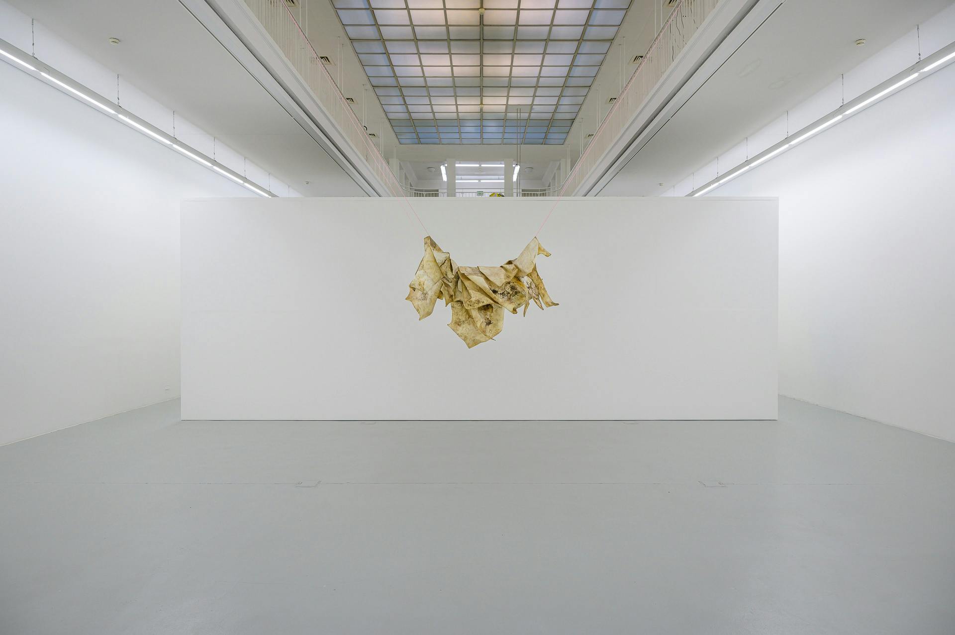 View out the slender window: There’s always a hair in the soup somewhere and some people are looking with a magnifying glass,    2019–ongoing
Rawhides, dirt
ca. 110 x 95 x 145 cm