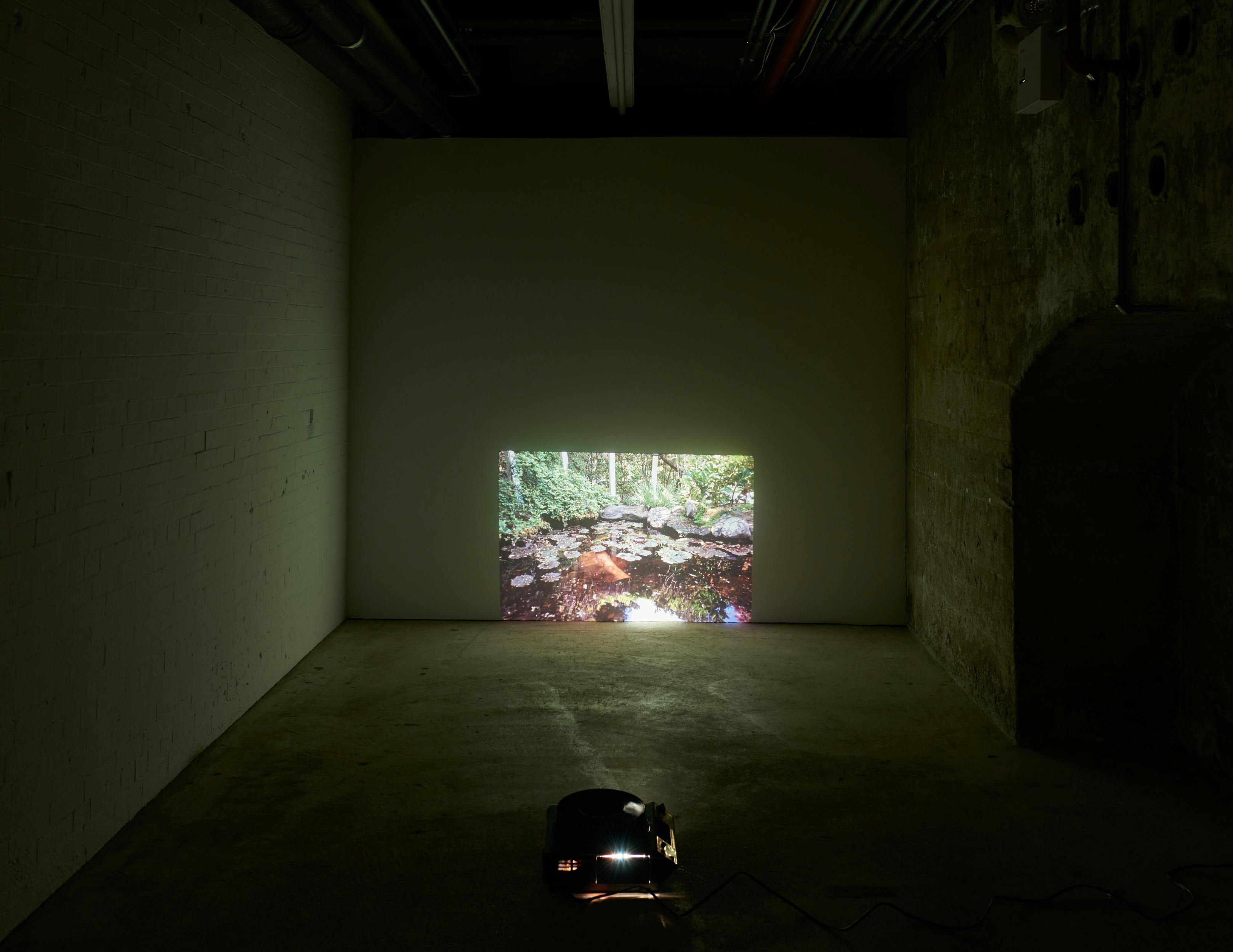 If we were frightened people we’d think this was a little bit scary: Watering flowers coming up from the sidewalk you said I could stuff some duck sausage in your pita pocket. Instead I press 3 fingers to your neck while you sound out the letter M. Then, O. Honey under your tongue, cane or water or cinnamon. Drag your head behind you. I cannot accept the bounds of what is known. Arise north, I have eaten my honeycomb with my honey. Is it a pleasure? Some passages elsewhere. Is night weather? You’ve captured my heart with one bead of your necklace. If you come to a place where I cannot see you I’ll move so I can see you. ongoing - leather hide, sun, 35mm slide, slide projector, dirt, leaves, bushes, pergola, lily pond with lillies