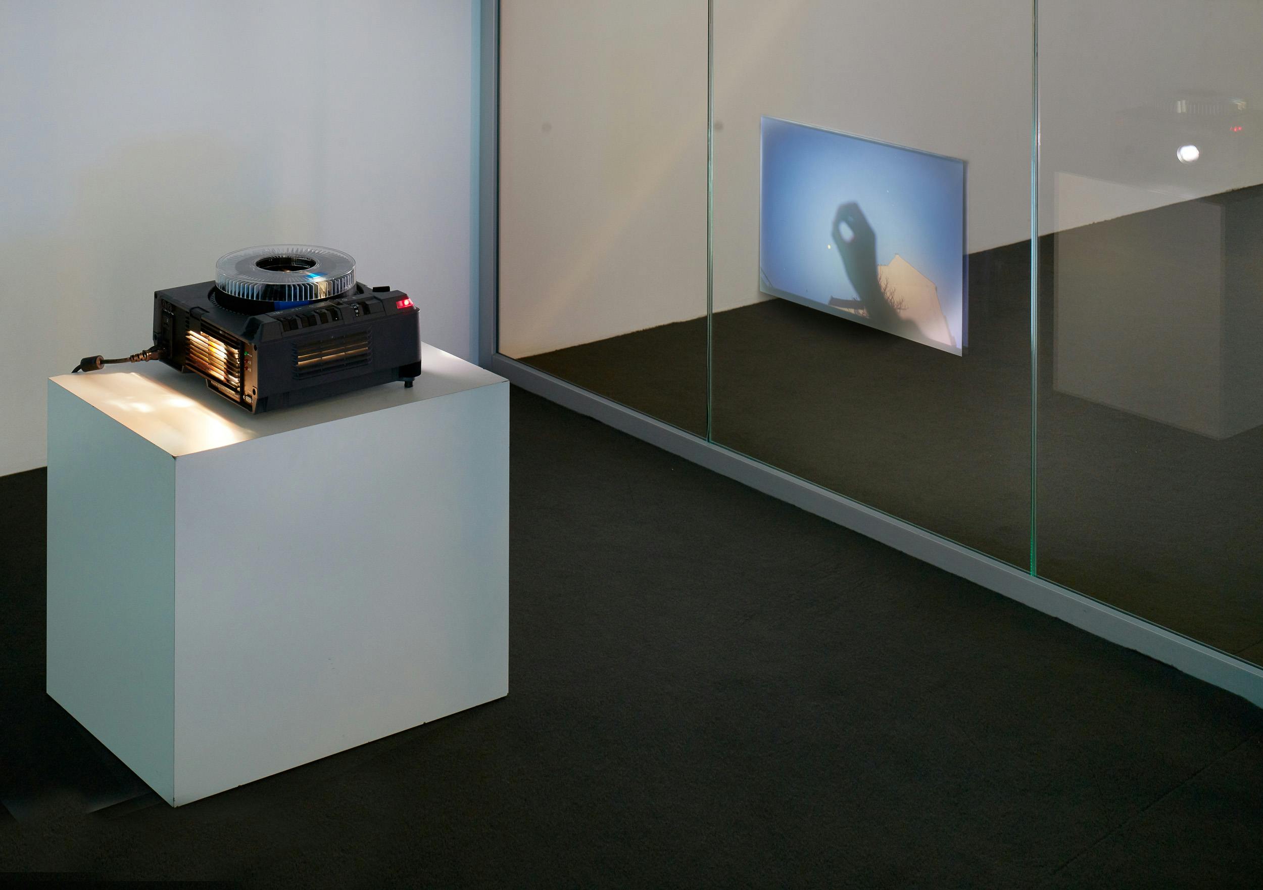 Leah and I were walking through the park once and I was telling her all about the cows and what they might mean sitting out there waiting for me to come back to look at them. We sat down on a bench overlooking where the lake ends by the boat house. It was just before when the street lights go on, the light was blue and sinking. We looked at the water pausing thinking between ourselves. The water was still and was an exact mirror of the sky. As we were thinking a great deal of ducks all descended from the sky, I would say 100, at least. The sky and the water blackened with them. They all landed on the water at nearly the exact same time. As though they were some sort of reflection of themselves descending into themselves. Or the All is one. Or this is such or such a thing. They have attached a particular word to an object or a fact and thereby consider themselves to have appropriated it. The women say they have reduced you to silence. The women say the language you speak poisons your tongue, lips. They say the language you speak is made up of words that are killing you. Whatever they have not laid hands on does not appear in the language you speak. This is apparent in the space they have not been able to fill with their words. These spaces can be found in the gaps: in the perfect circle, to imprison them and to overthrow. 2019, 35mm slides, Dimensions variable