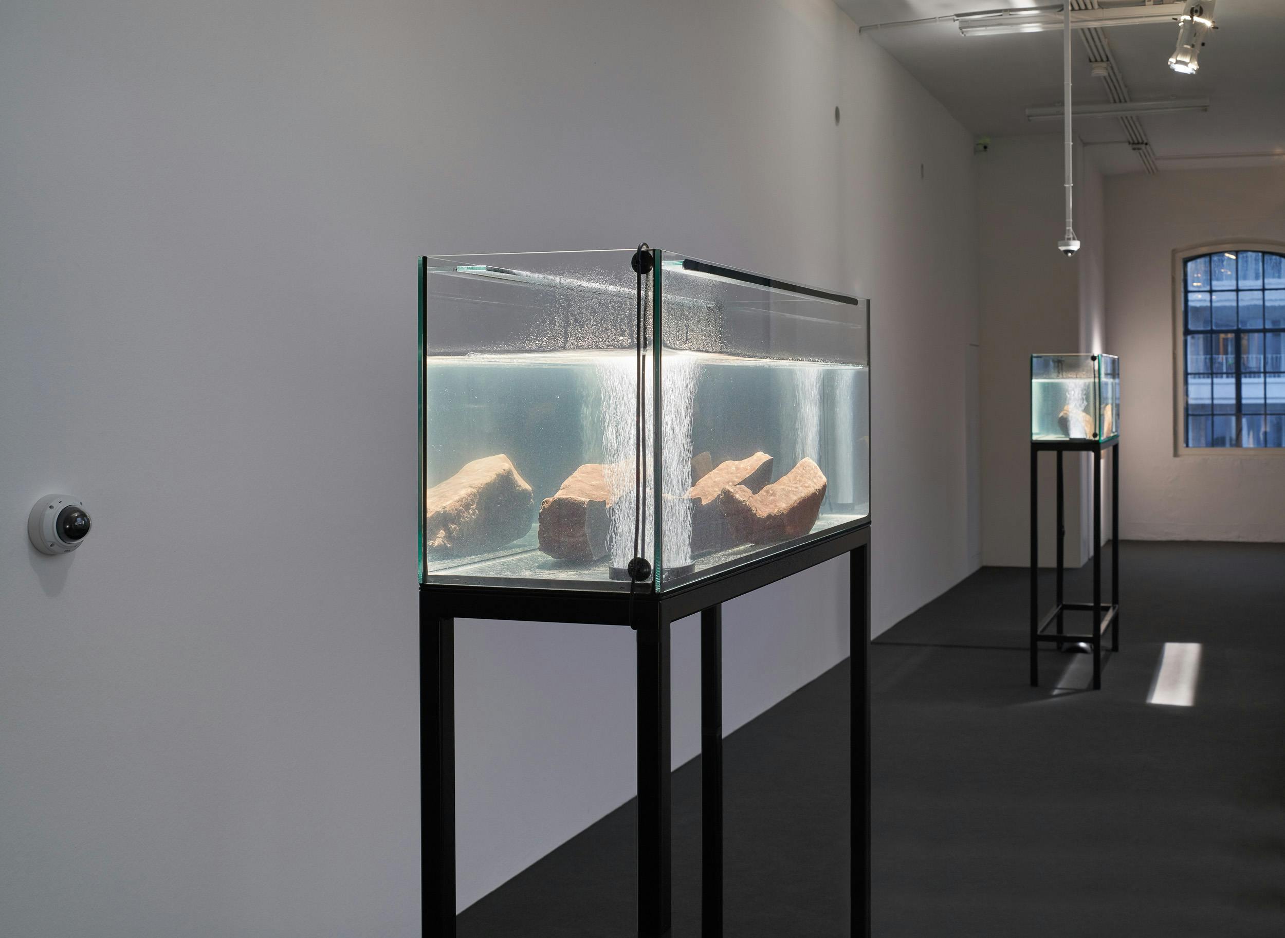 Foreground: Strange Provenance Landscape 1: Before we begin, let me establish some things that I cannot name through Serpentine and the Rhine. I’ve split three stones and polished one, you’ll see them here; all of these stones come from Zimbabwe. Zimbabwe is a landlocked country in southern Africa known for its dramatic landscape and diverse wildlife; it is about the size of Germany. My German friend Stefan went to Zimbabwe in 1998 to learn about sculpture from the legendary Shona sculptors of Zimbabwe. Zimbabwe has many colors of stone, there are ancient dried river beds in Zimbabwe and each river bed is filled with different types of stone (the black kind in particular is known for its delicacy under stress, few black stones can boast such endurance). Stefan and his friends went to all the different mines and mined some stones and Stefan put them in a shipping container and sent them home to Hanover, where 17,000 tons still remain, on the family farm. The stone is Serpentine, from Zimbabwe, it is shown here in filtered water from the Rhine, that is Rhine from Middle-High-German Rin, as in just down the road and ultimately from Gaulish Renos meaning that which flows; to move, flow, run. 2019 Aquarium with metal stand, filtered Rhine water, Zimbabwean Serpentine Stone, 92 x 120 x 40 cm Background: Strange Provenance Landscape 2: Serpentine rewires your brain, a hot flame makes its way up, Serpentine is about rebirth, and beginning and returning, as a snake enjoys the snack of its own tail, definitely a convenient way to use vibrational energies, so does the stone remind us of our position as bodies in an orbital transit. Snakes actually do eat their own tails, it is a sign of distress. But the snake is a stand-in for something else now, this action of a snake body is referred to as the Ouroboros, and of the Ouroboros it is said: One is the serpent which has its poison according to two compositions, one is All and through it is All, and by it is All, and if you have not All, All is nothing. 2019, Aquarium with metal stand, filtered Rhine water, Zimbabwean Serpentine Stone, 192 x 120 x 40 cm