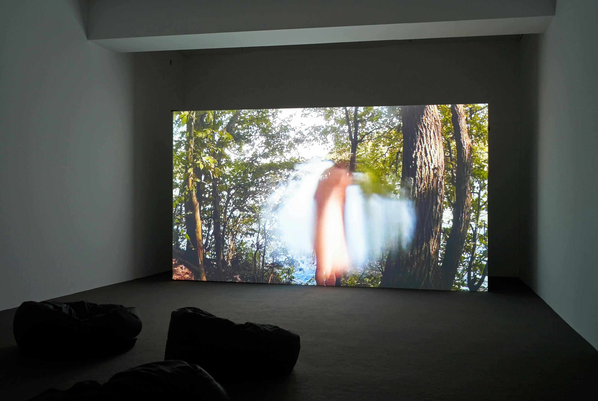 Among other things (nearby occasions or eight acts for Jeremy) - What should we call this form of existence: a constant vista where from one view one can see the cage of one binding state and from another view, another binding state? Come here and have a taste (play to be played). Hadi writes: All night I dreamed of these lines and couldn’t help it other than believing that dreaming these lines means I should send them to you; it is coming from an old poem that made sense to me when I saw the cage inside the cage. Birds are free of cages, and cages are free of birds / Where have you come from that causes you to be so free / Although every bird’s voice is a kind of crying for the end of the day / You must sing more since your cry more sounds like the beginning of the day. / I think birds are standing for people, but I’m not sure what the cage stands for. You must know. (I don’t.) Maybe there are things that we should become accustomed to not seeing or knowing (I entered the tunnel of my own will) I play the song over and over; without beginning and without end or when you drudge up the past needlessly the Dutch say you’re digging up old cows. 2019, Single channel HD video, 26’34’’, color, sound. Dimensions variable.