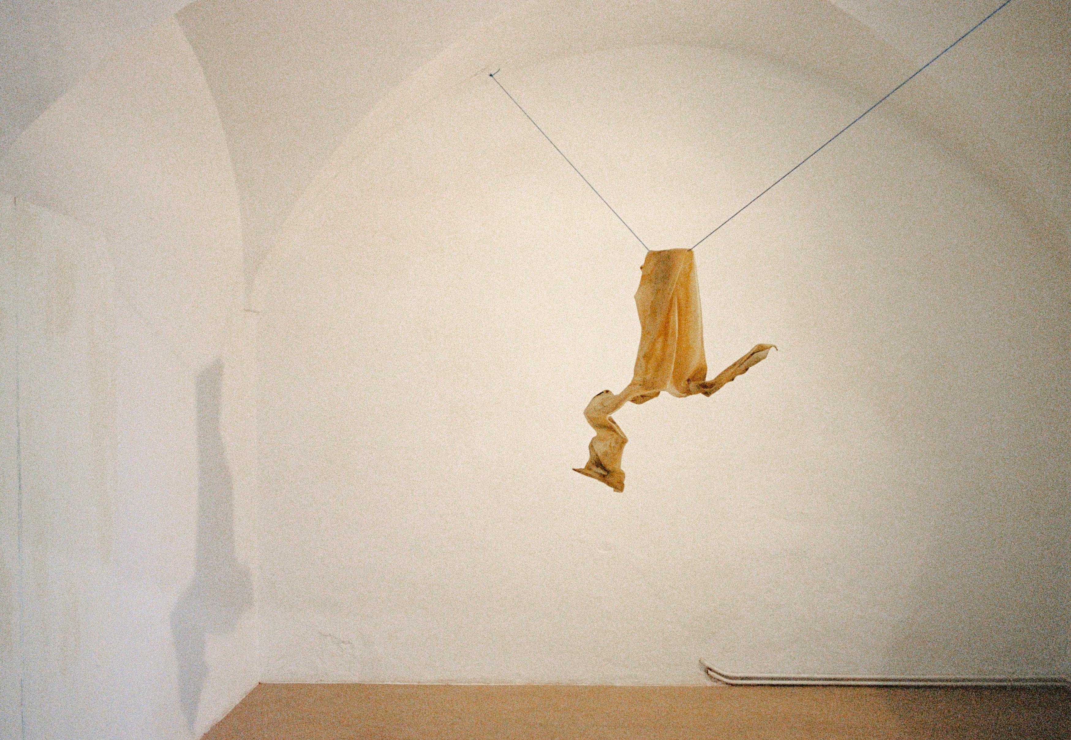 Why, if it was so bad here, did he not go to another place to live? So it’s pretty big, it’s about twice the size of my fist, you can hear the bag is crunching as I turn it over, there’s not a single animal, no insect, nothing, it is so old it reflects back blue light, so on a very clear, cool day, it is hard to say where it is that the sun meets the sky. They brought me here, the boy replied.   2019 rawhide, dirt,   90 x 60 x 40 cm