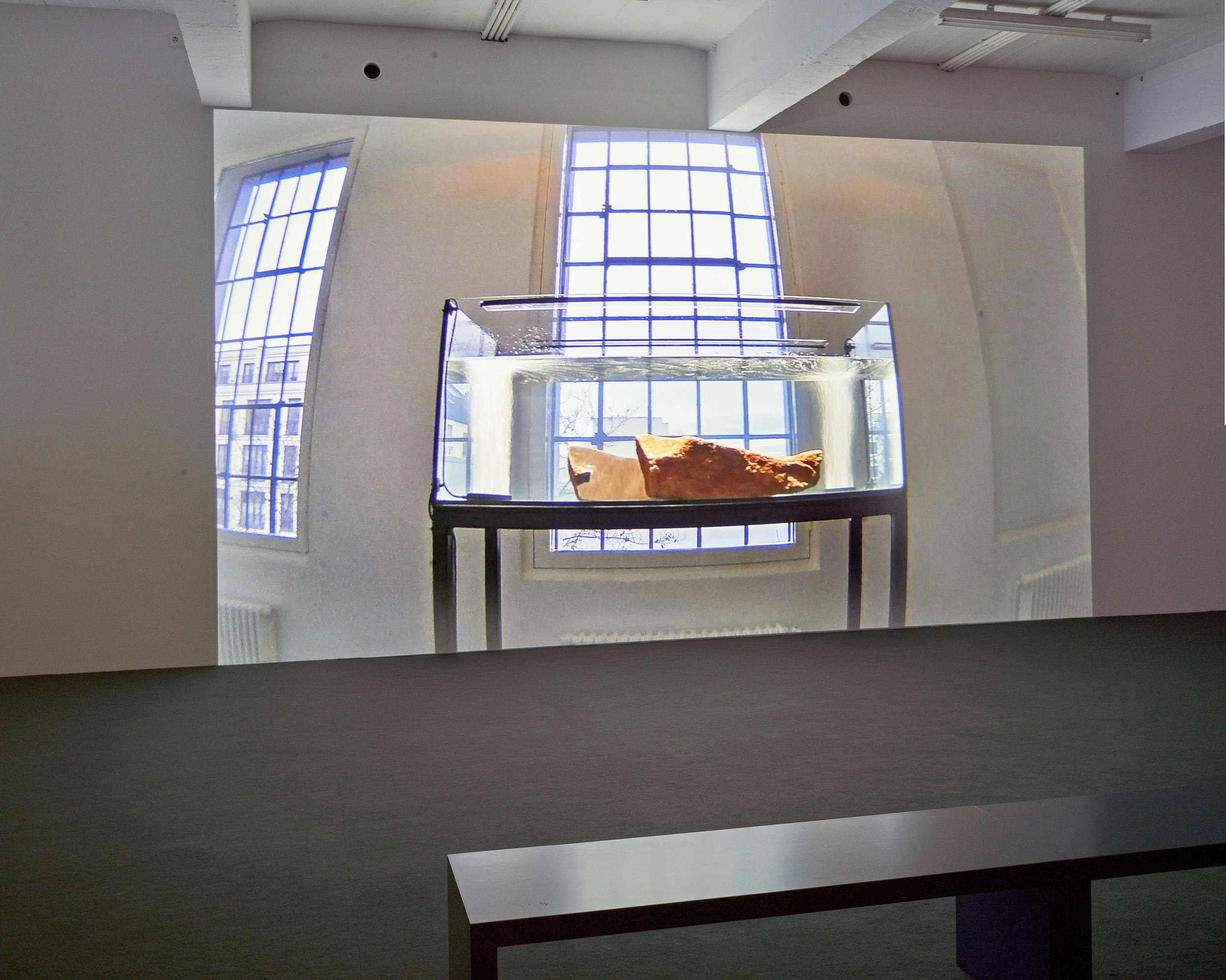 If I swallow my spit long enough I can trick myself into thinking I have eaten. The slab sees itself in its own mirror, an echo for the sake of creating a void (void as in a space of lazy intellectual voyage) OR! Even when one is in one position he is also in the other, which might mean he is in neither position at all.  2019, Live Stream, Dimensions variable