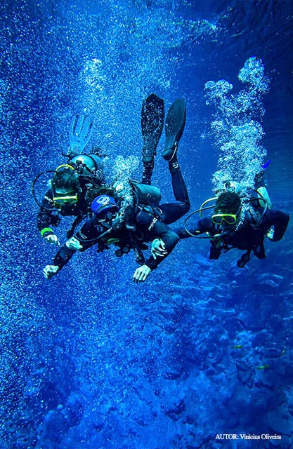 Paisagem aquática incrivelmente azul e cristalina onde dois mergulhadores são observados nitidamente usando equipamentos de cilindro e máscara de mergulho